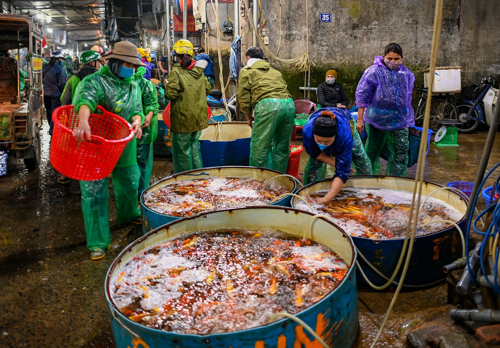 Gia ca chep cung Tao quan tang gap 3 lan anh 5