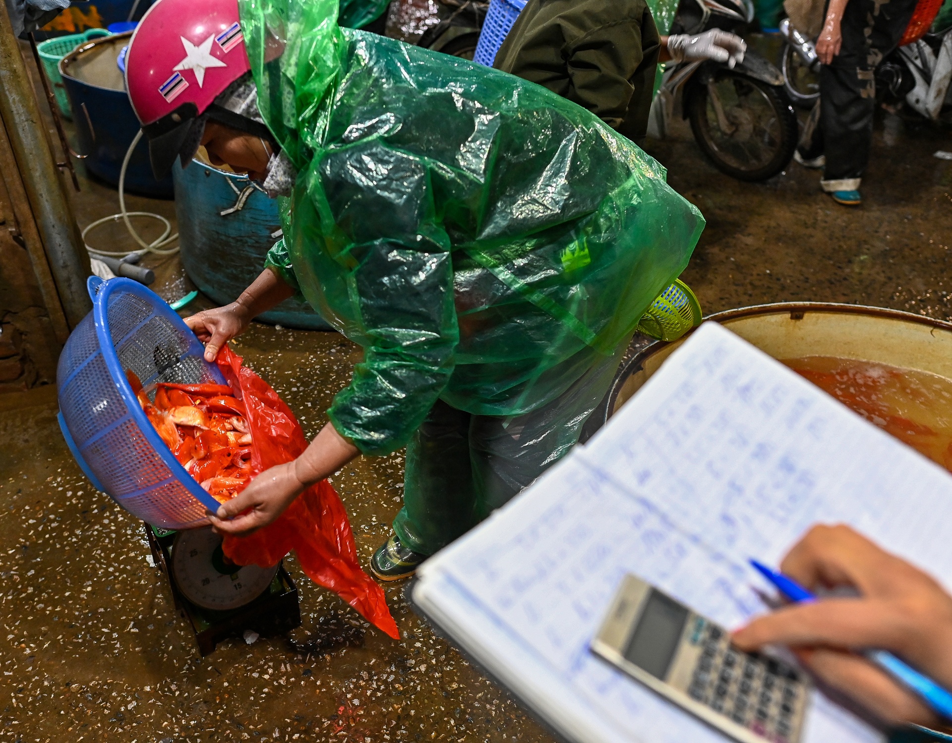 Gia ca chep cung Tao quan tang gap 3 lan anh 9