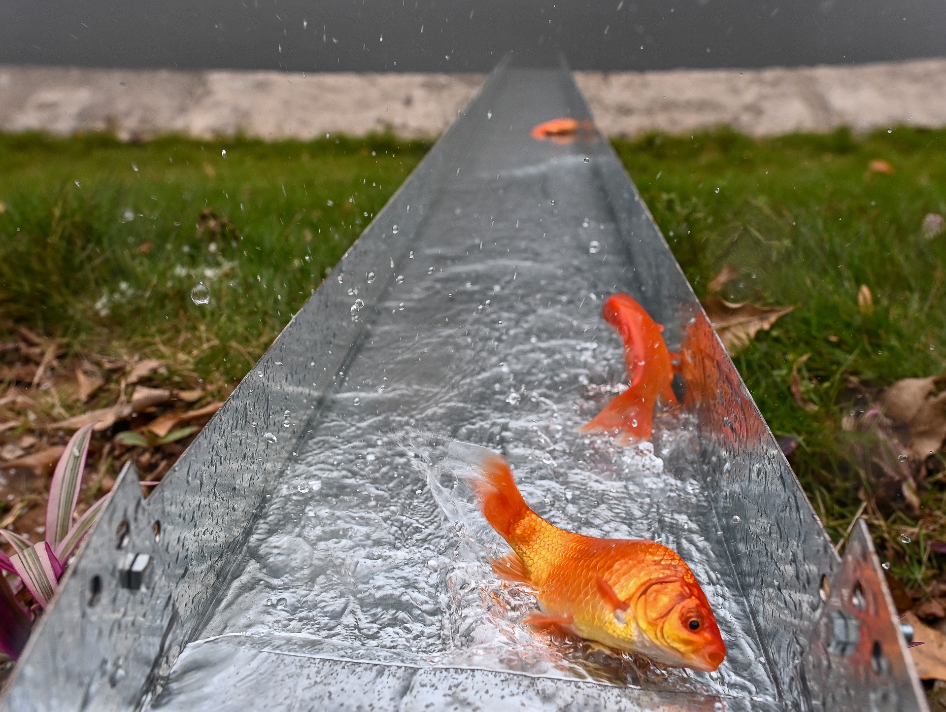 Dung mang truot tien ong Tao ve troi hinh anh