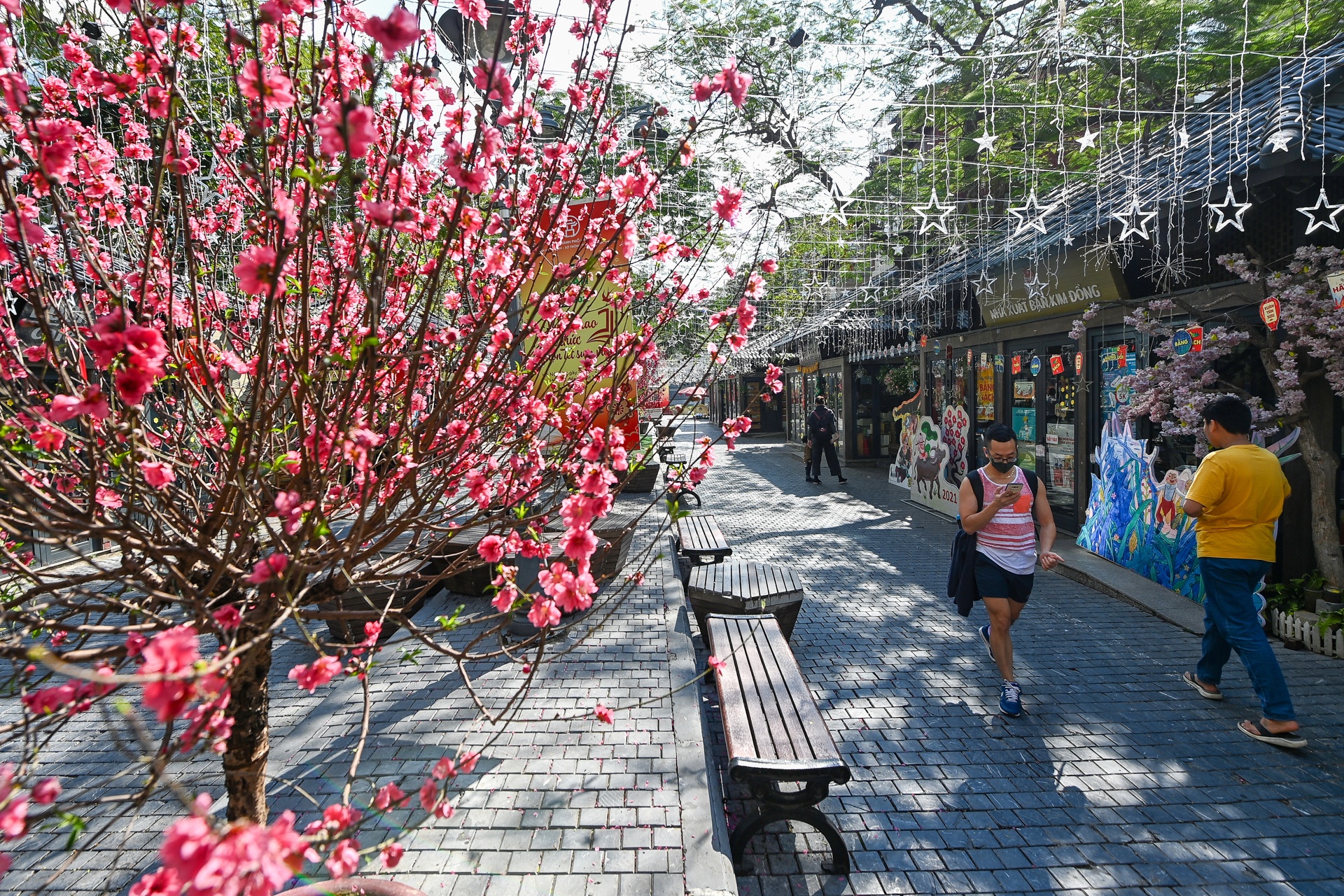 Pho phuong Ha Noi anh 10