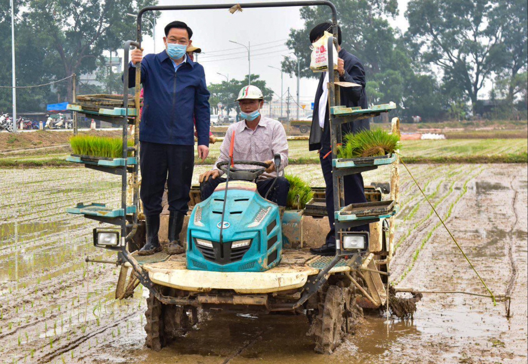 Bi thu, Chu tich Ha Noi xuong ruong cay lua cung nong dan hinh anh