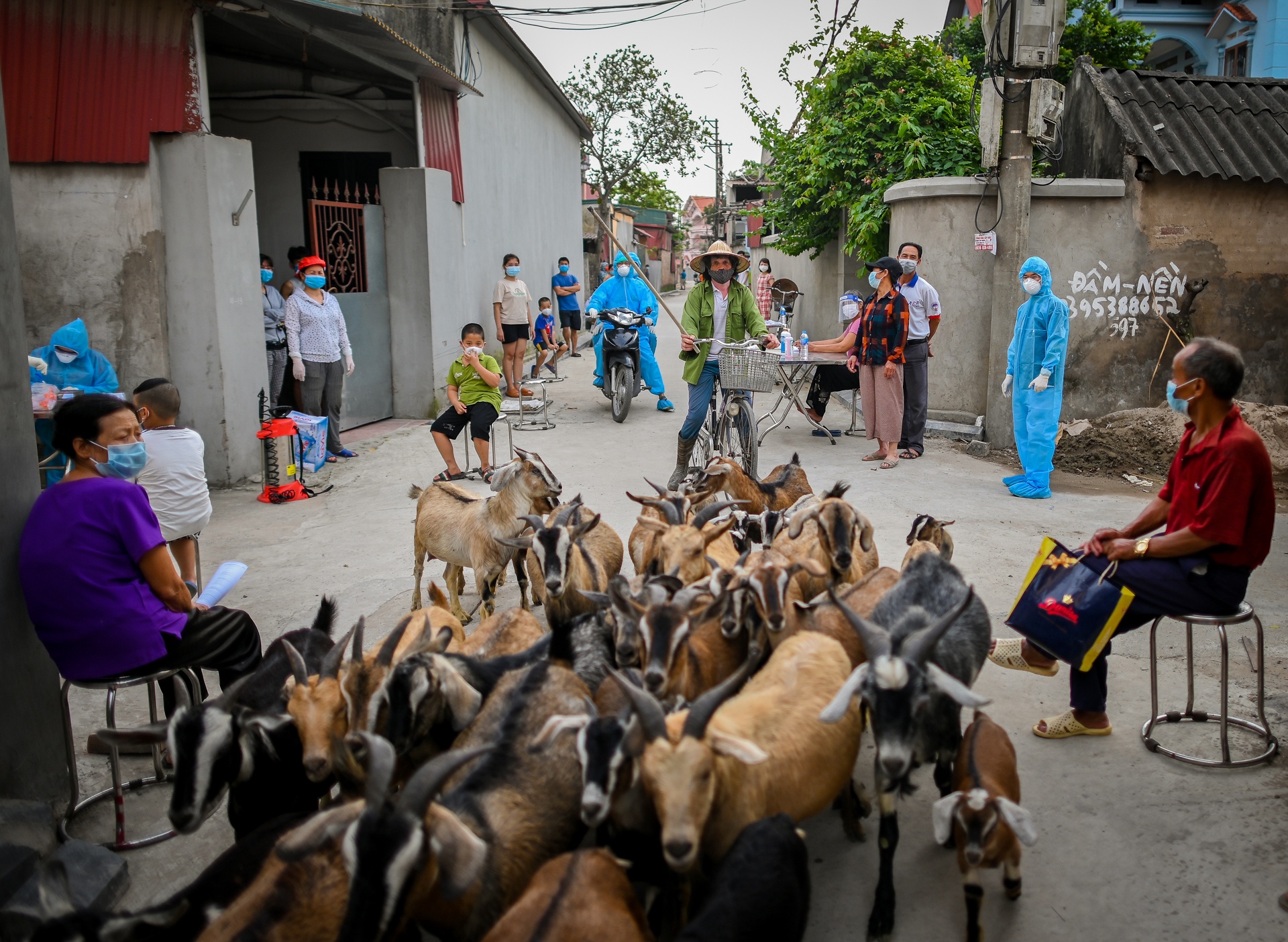 Hà Nội: Xét nghiệm truy tìm virus SARS-CoV-2 ảnh 8 Ha Noi: Xet nghiem truy tim virus SARS-CoV-2 anh 8