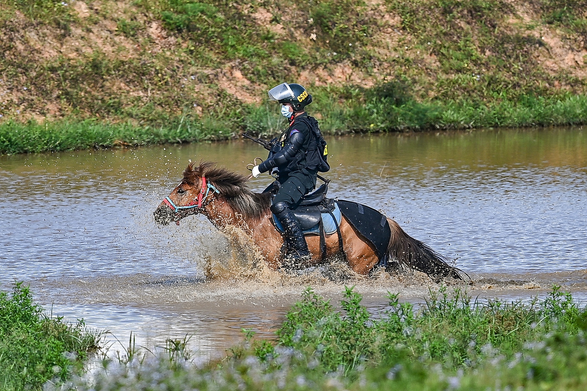 Canh sat co dong cuoi ngua ban sung anh 16