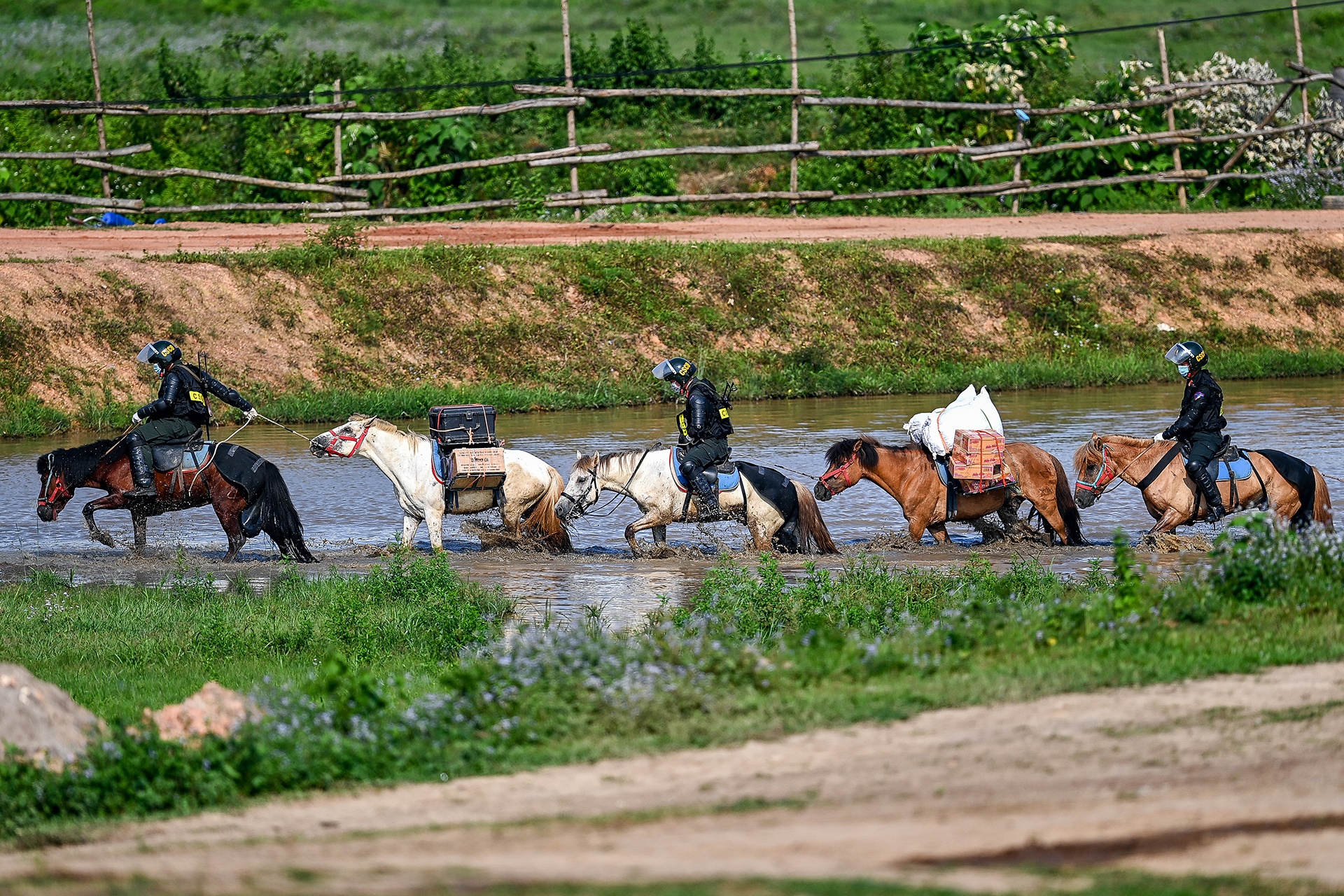 Canh sat co dong cuoi ngua ban sung anh 17