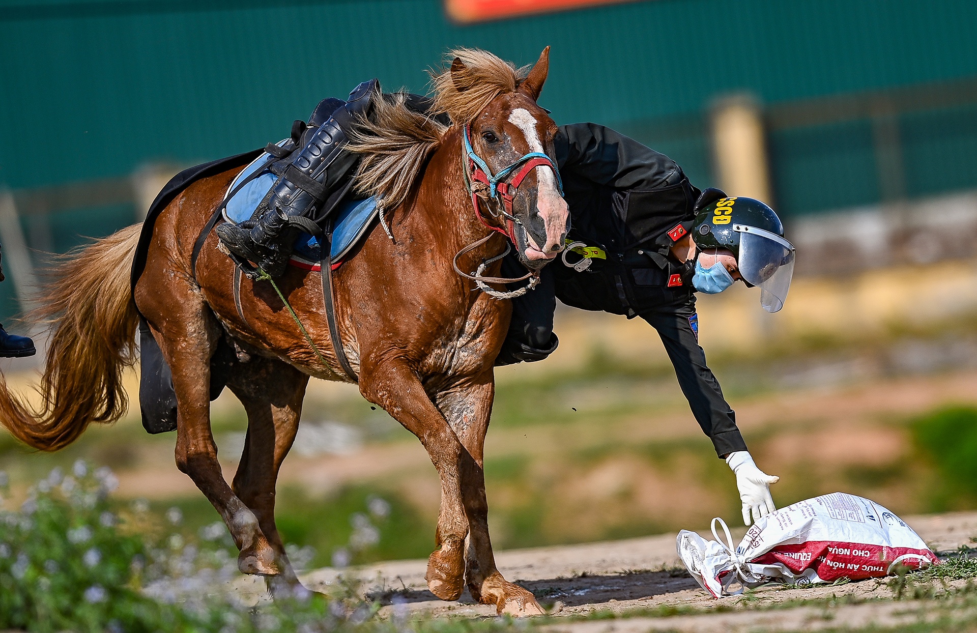 Canh sat co dong cuoi ngua ban sung anh 18