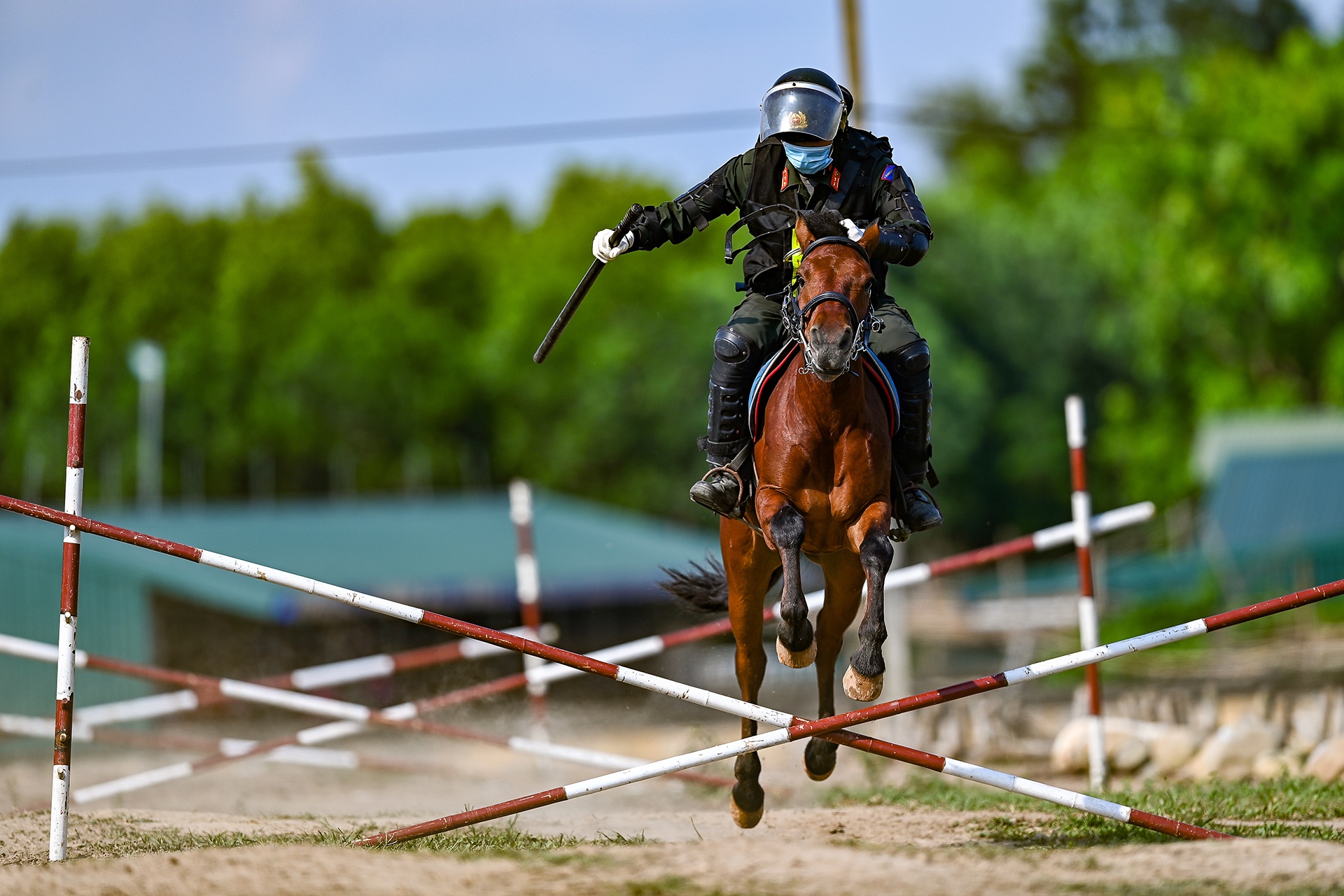 Canh sat co dong cuoi ngua ban sung anh 19