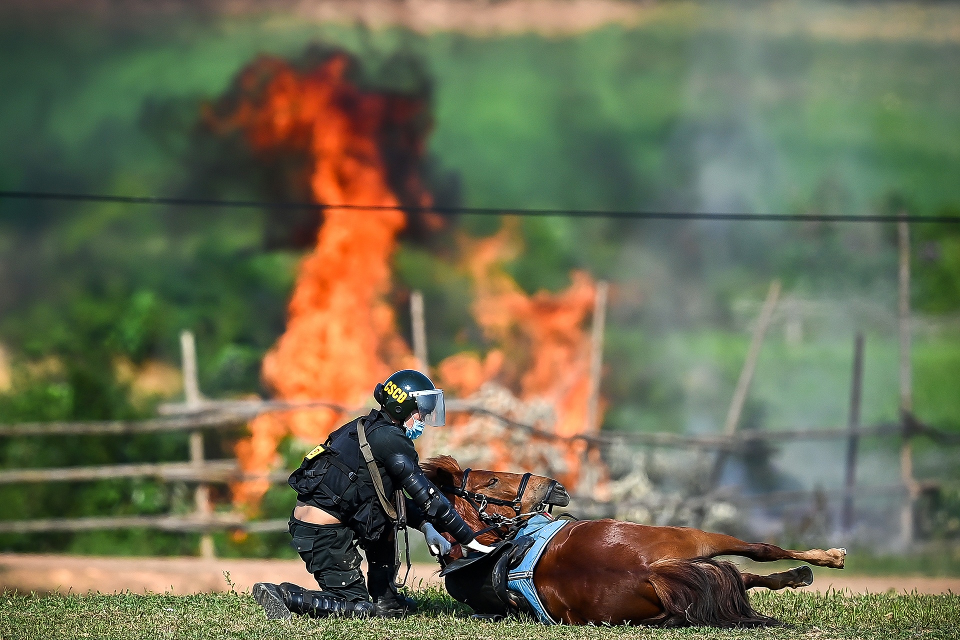 Canh sat co dong cuoi ngua ban sung anh 21