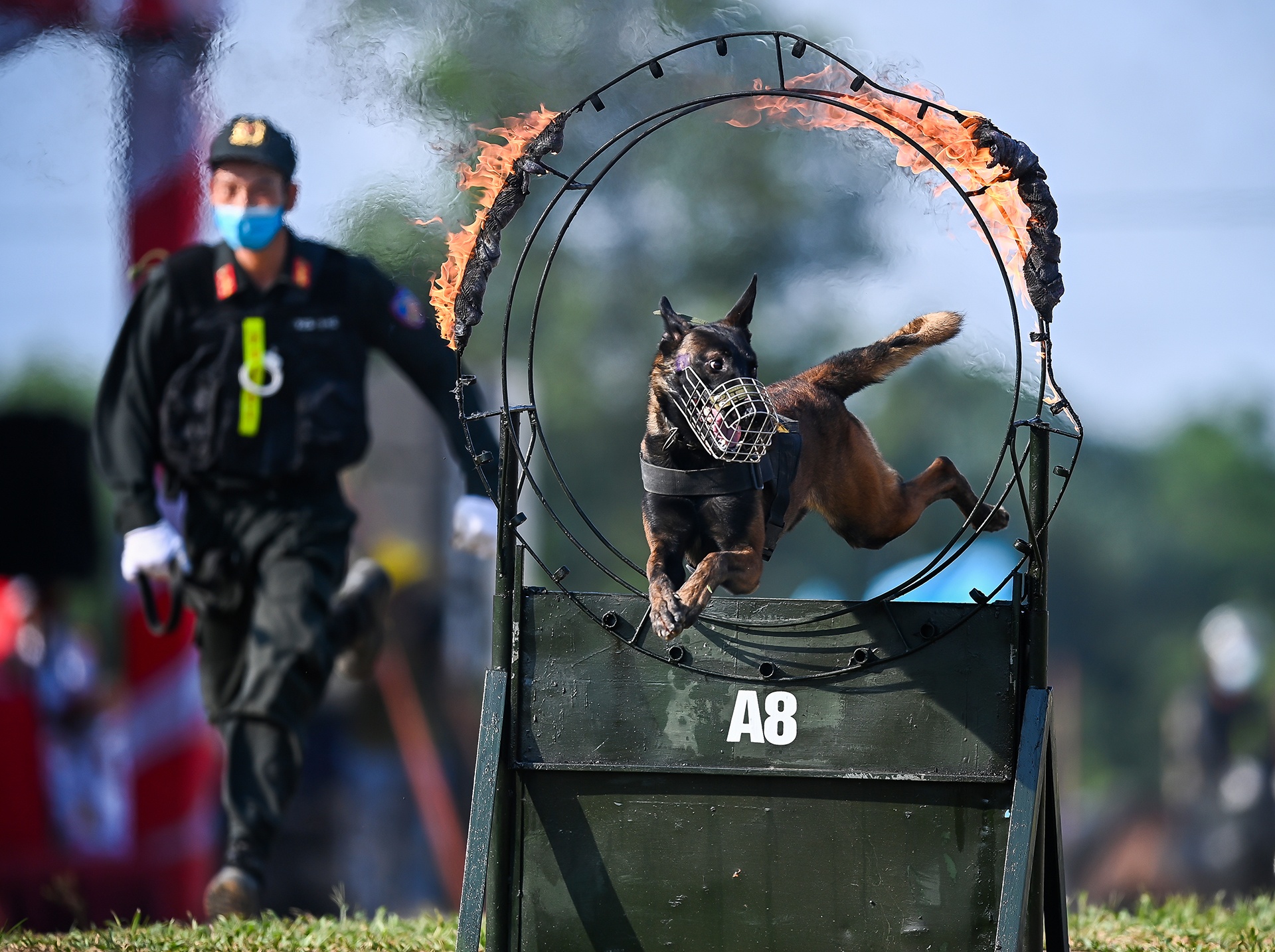 Canh sat co dong cuoi ngua ban sung anh 23