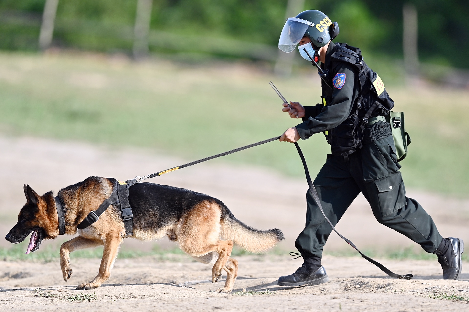 Canh sat co dong cuoi ngua ban sung anh 26