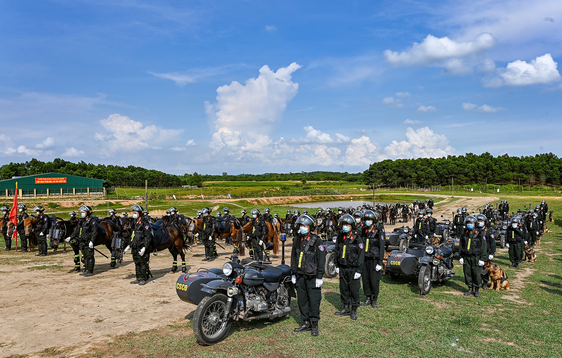 Canh sat co dong cuoi ngua ban sung anh 2