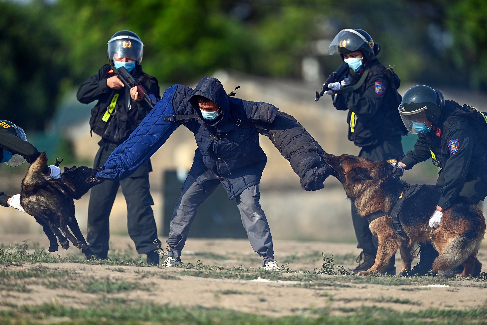 Canh sat co dong cuoi ngua ban sung anh 29