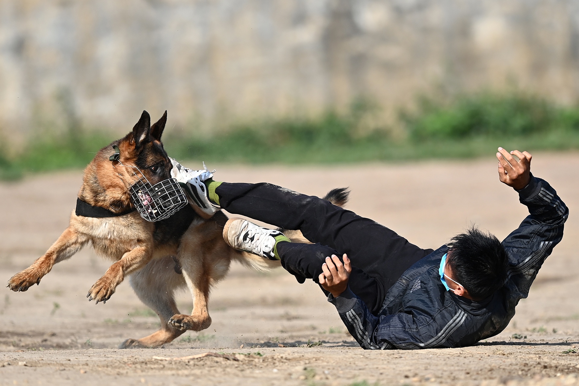 Canh sat co dong cuoi ngua ban sung anh 31