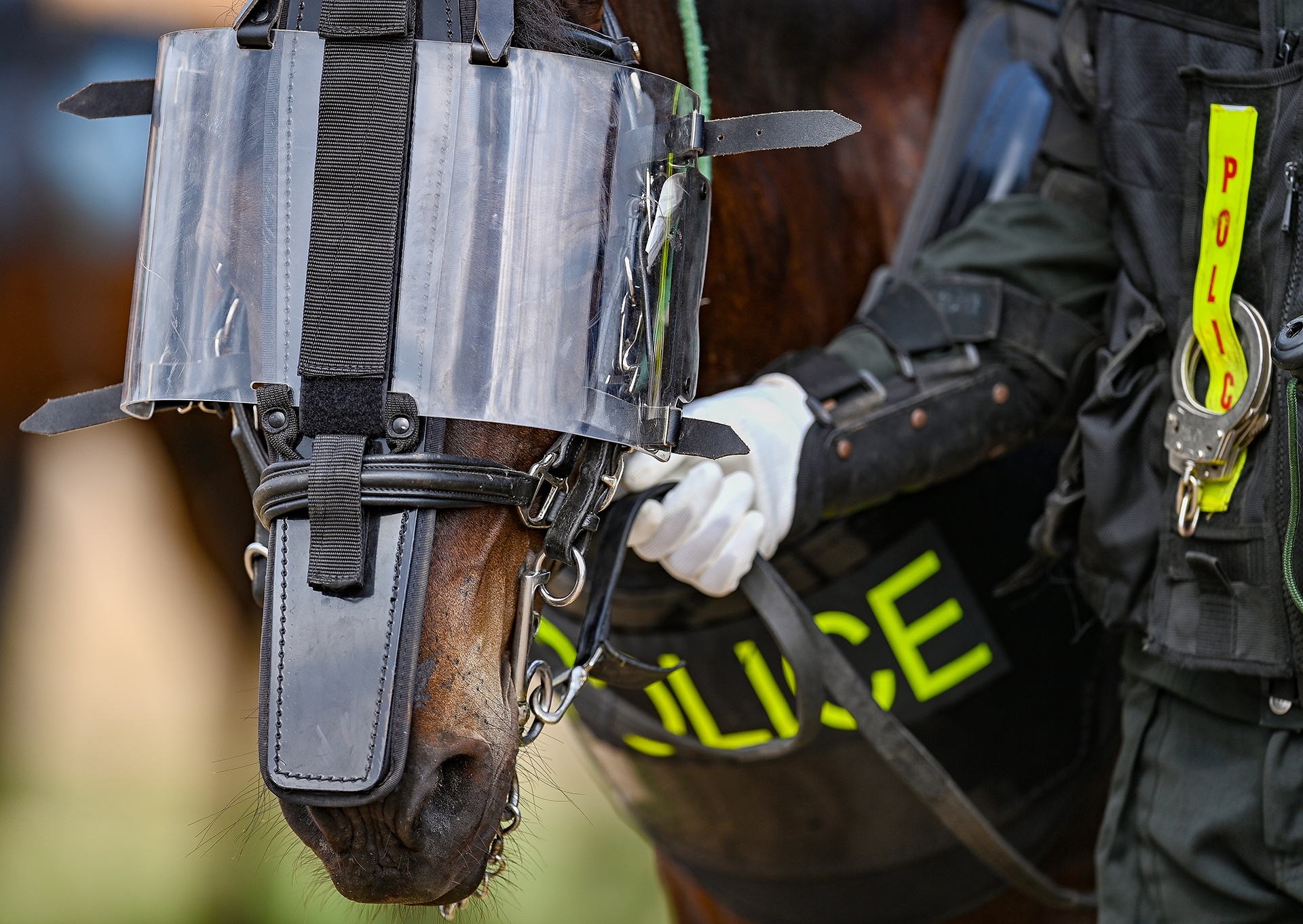 Canh sat co dong cuoi ngua ban sung anh 5