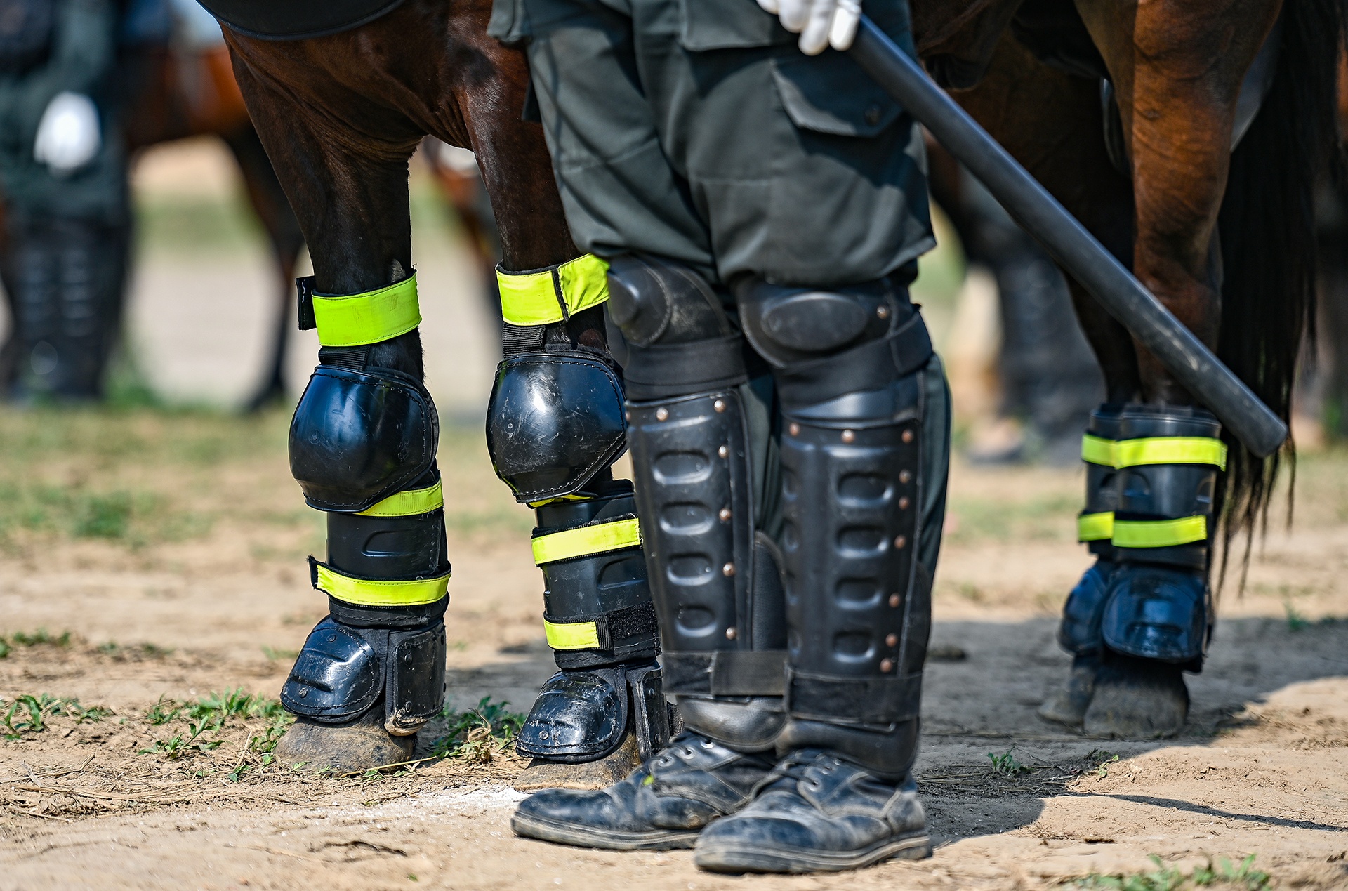 Canh sat co dong cuoi ngua ban sung anh 6