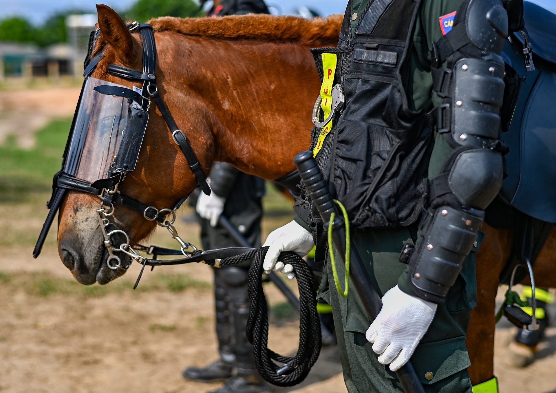 Canh sat co dong cuoi ngua ban sung anh 7