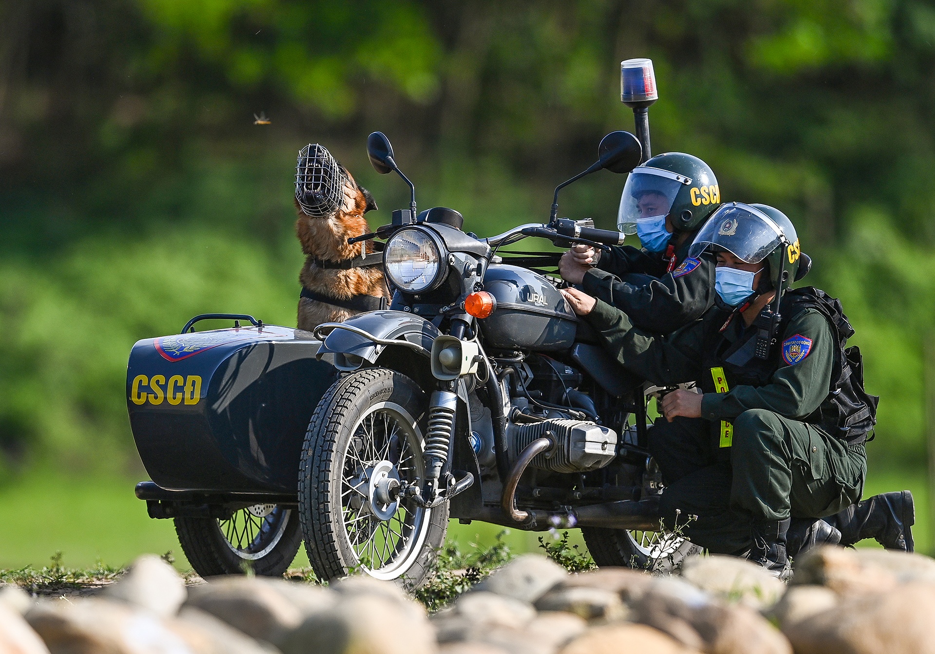 Canh sat co dong cuoi ngua ban sung anh 38