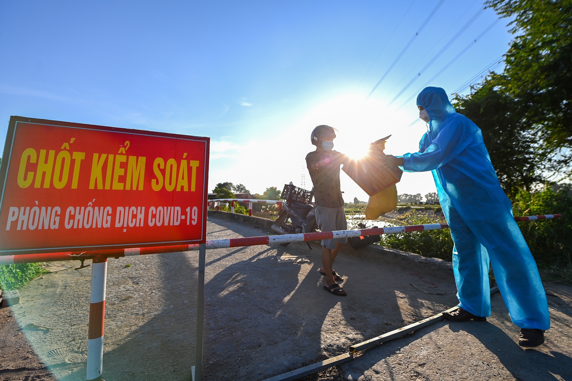 Giai cuu nong san tam dich Bac Ninh anh 9