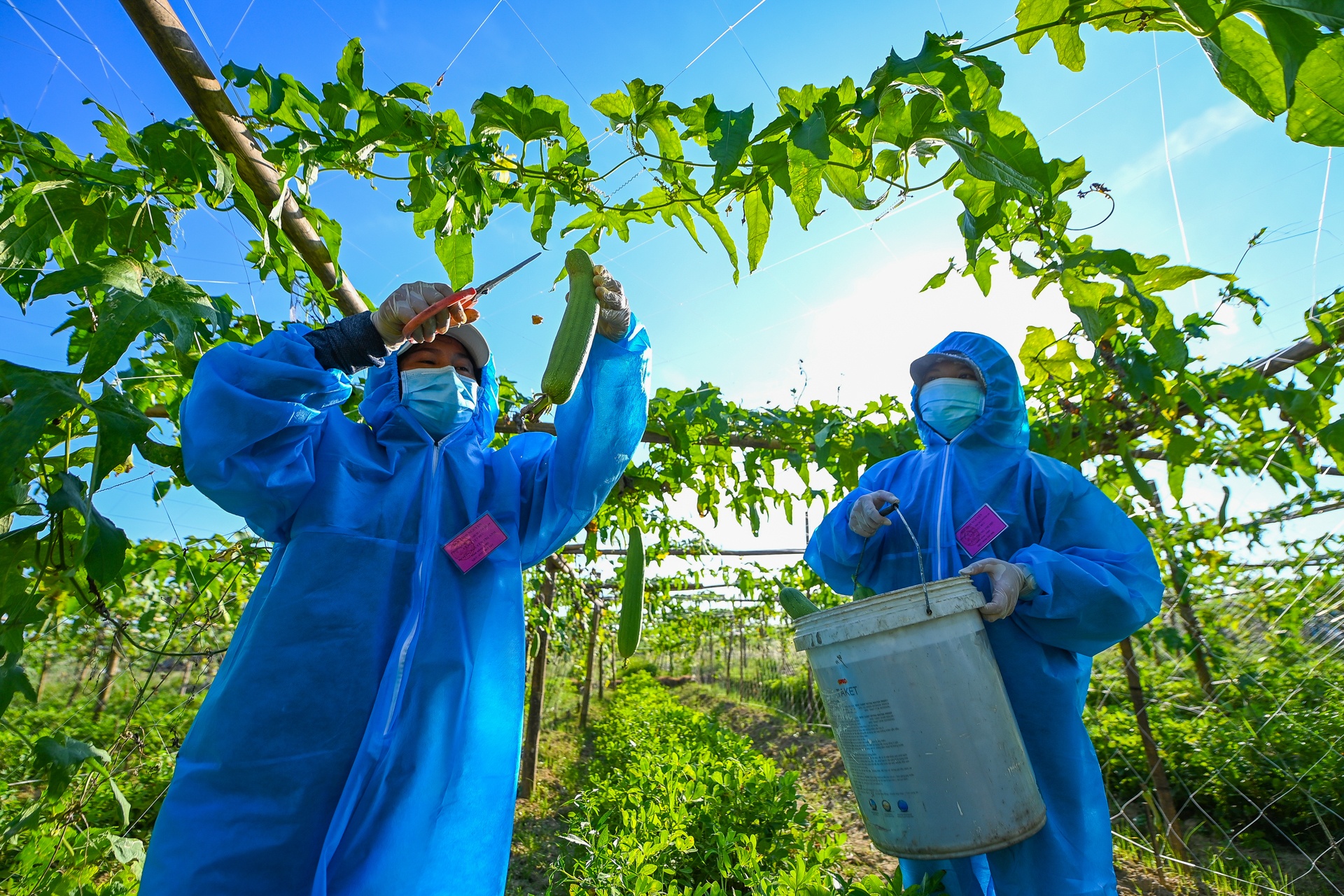 Mac do bao ho ra dong giua nang nong gan 40 do C hinh anh