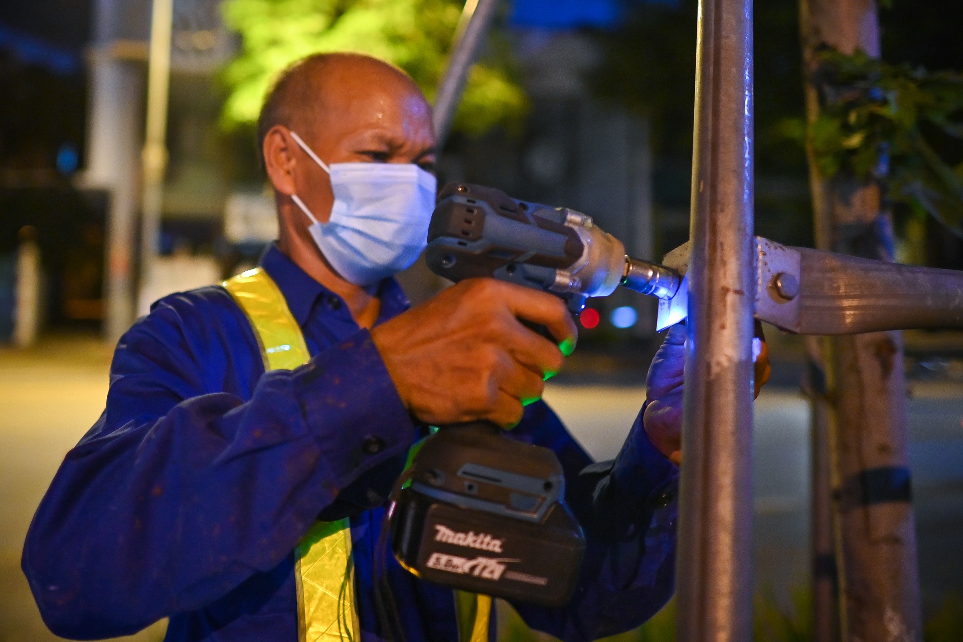 Danh chuyen cay phong la do o Ha Noi anh 4