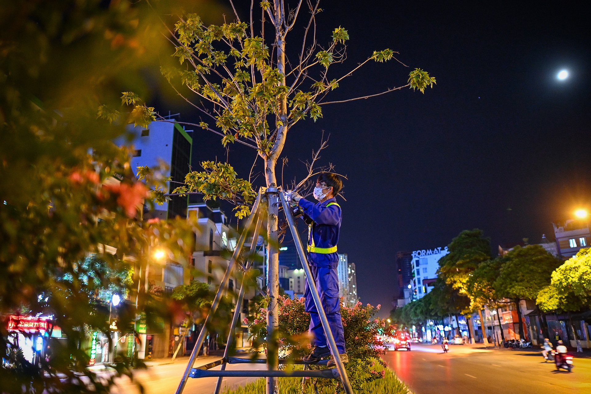 Trang dem don chuyen cay phong tren duong Tran Duy Hung hinh anh