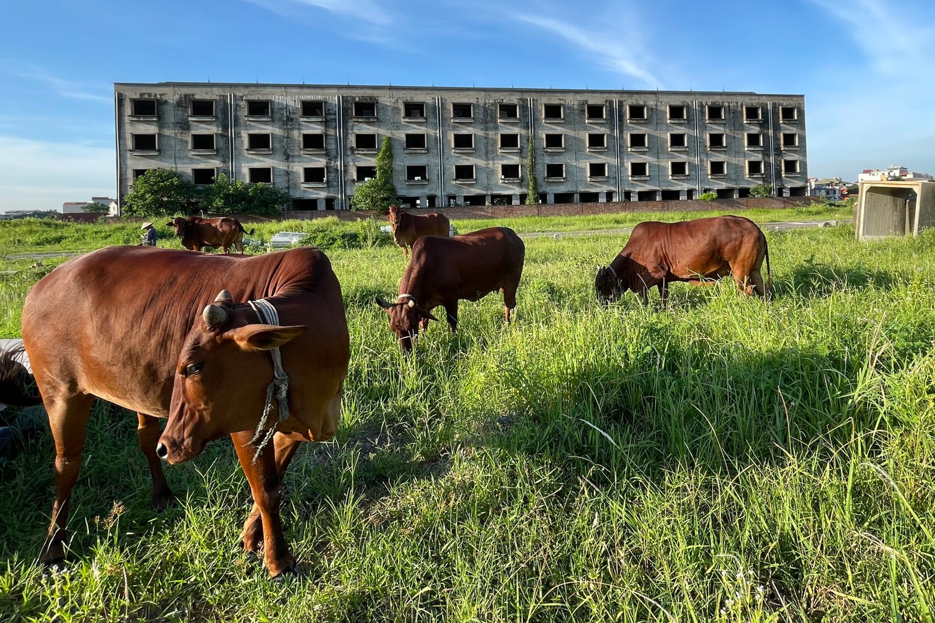 Biet thu trieu do bo hoang o Ha Noi anh 19