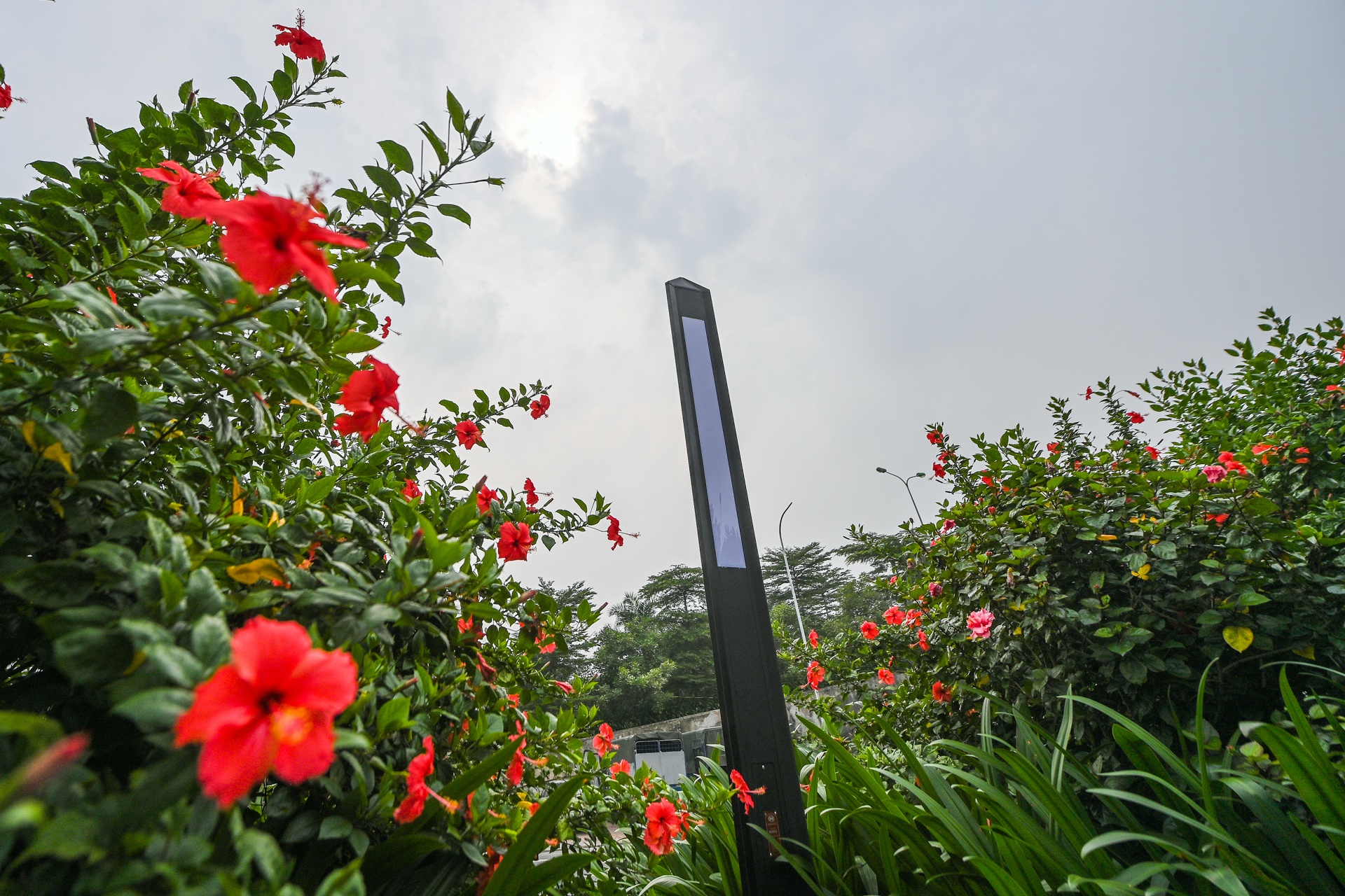 Mo rong tuyen duong Lieu Giai - Van Cao anh 4