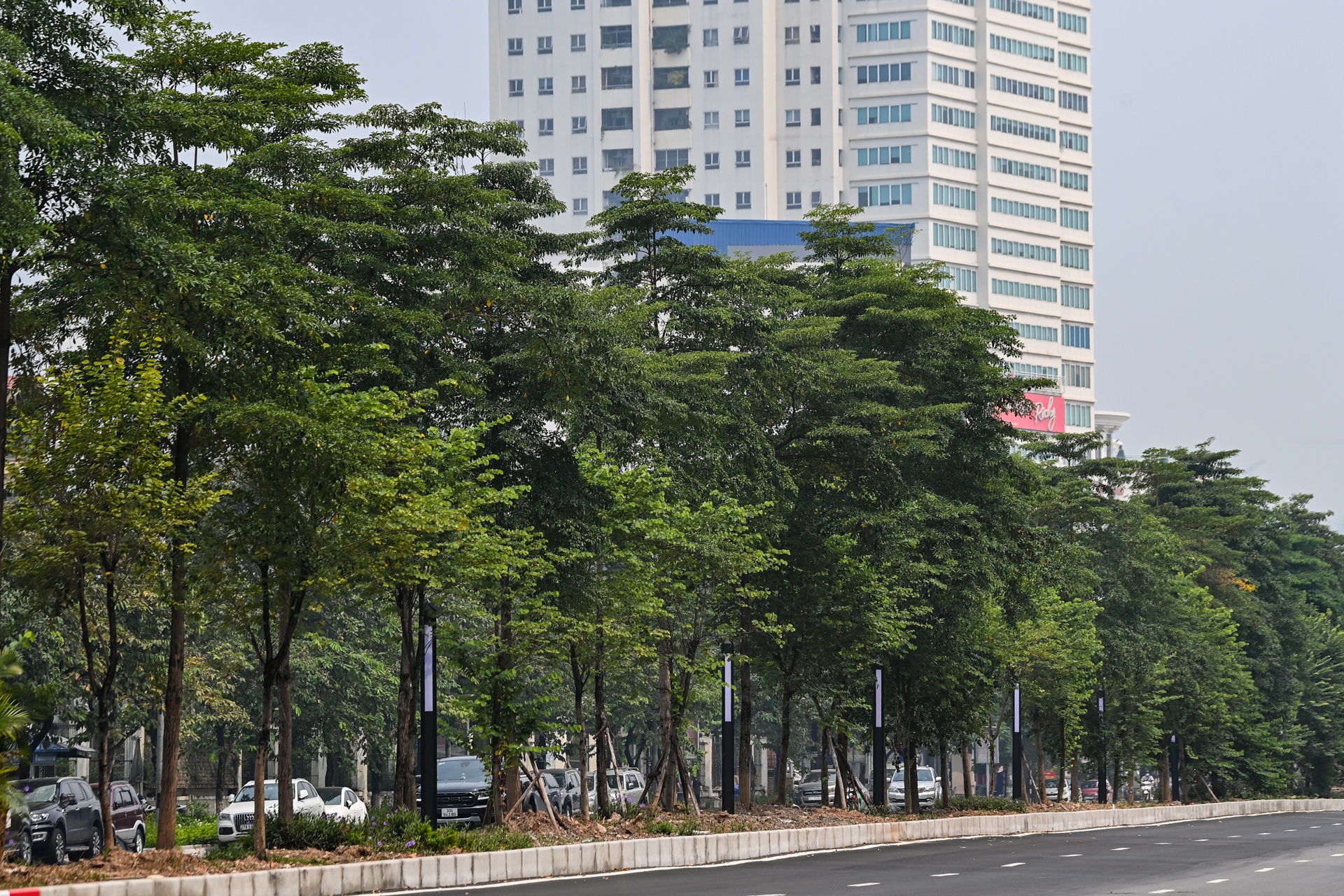 Mo rong tuyen duong Lieu Giai - Van Cao anh 8