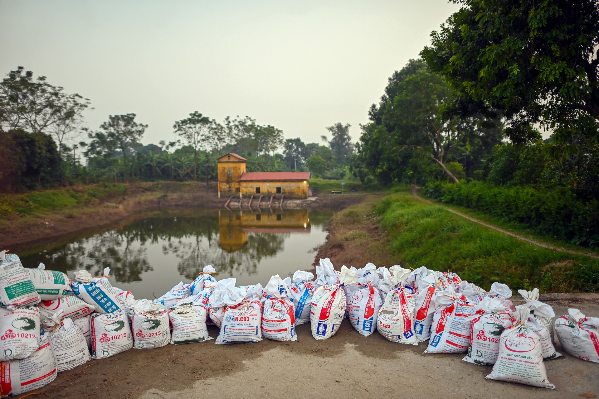Sat lo sut lun de o Ha Noi anh 4