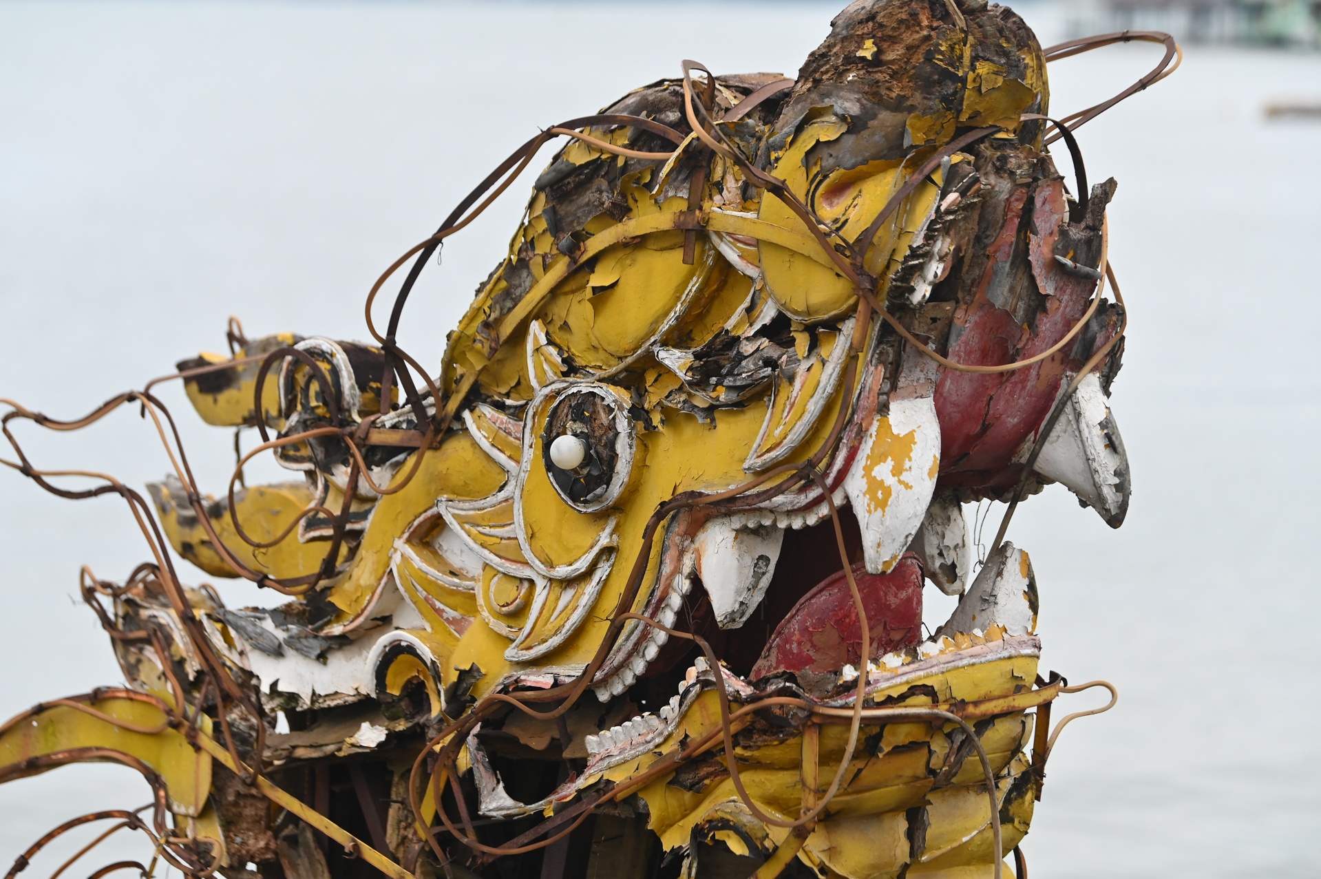 Thao do du thuyen bo hoang anh 11