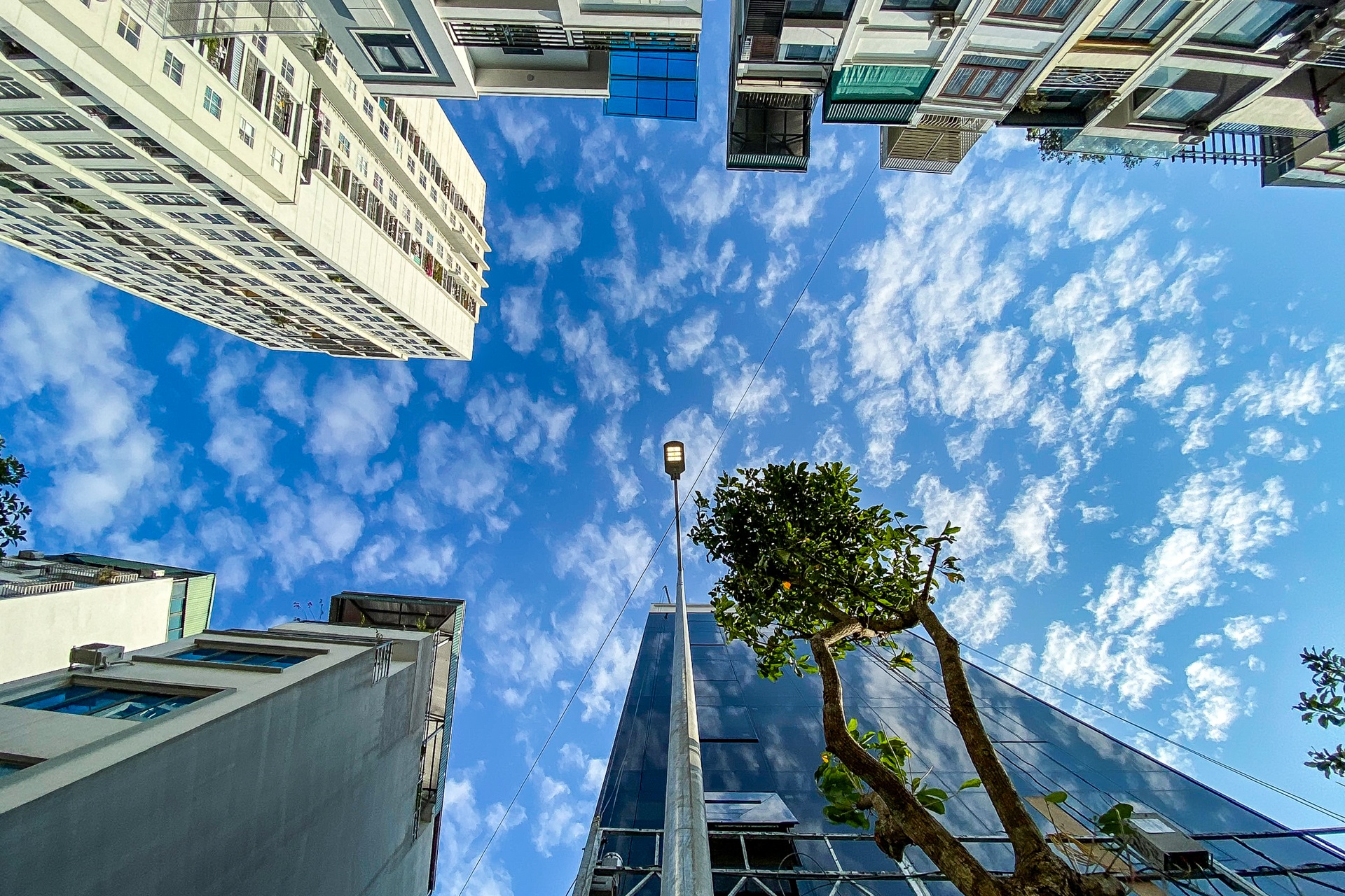 Con duong dau kho giua Ha Noi anh 8