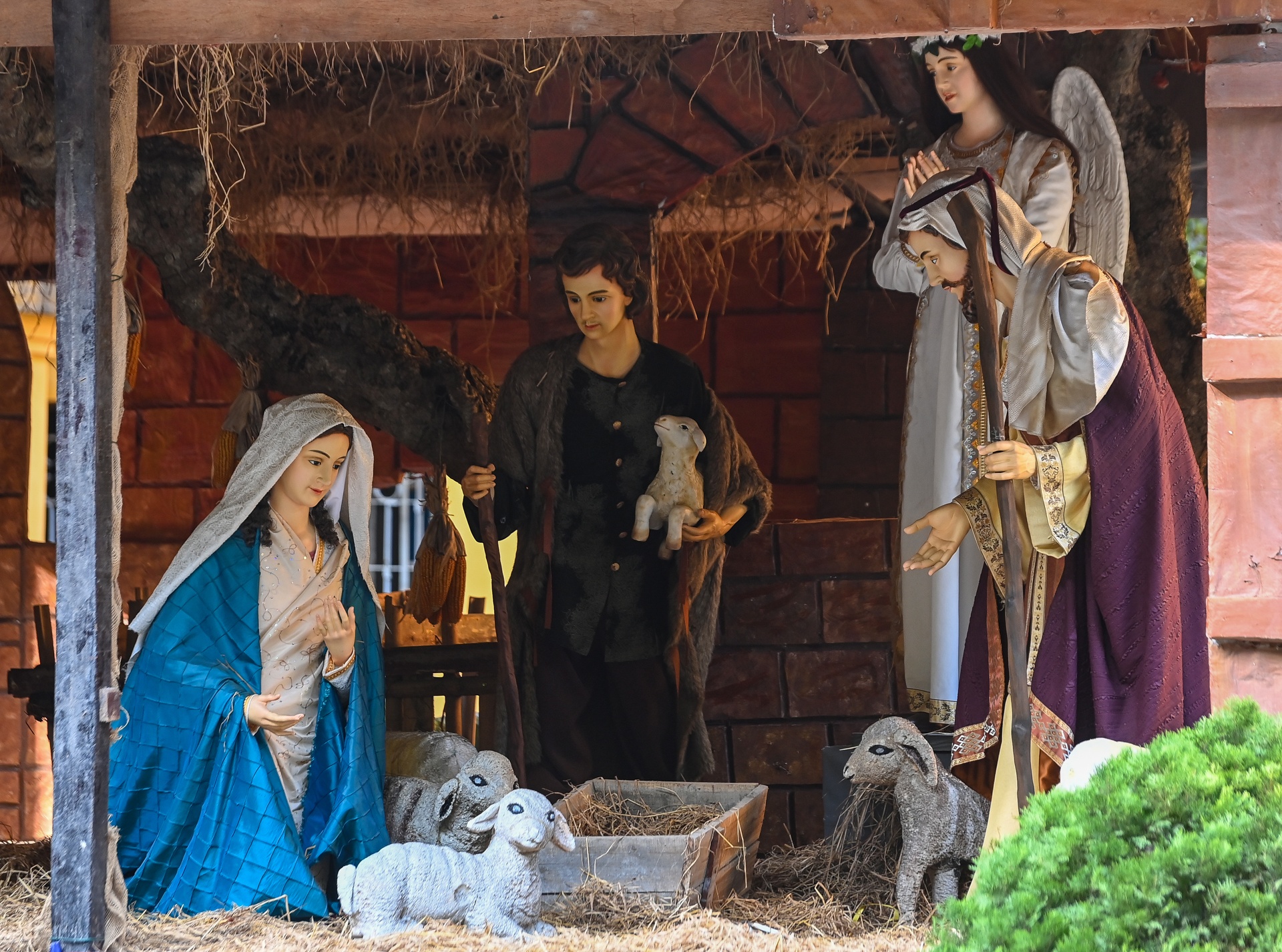 Nha tho Ha Noi trang tri don Noel anh 7