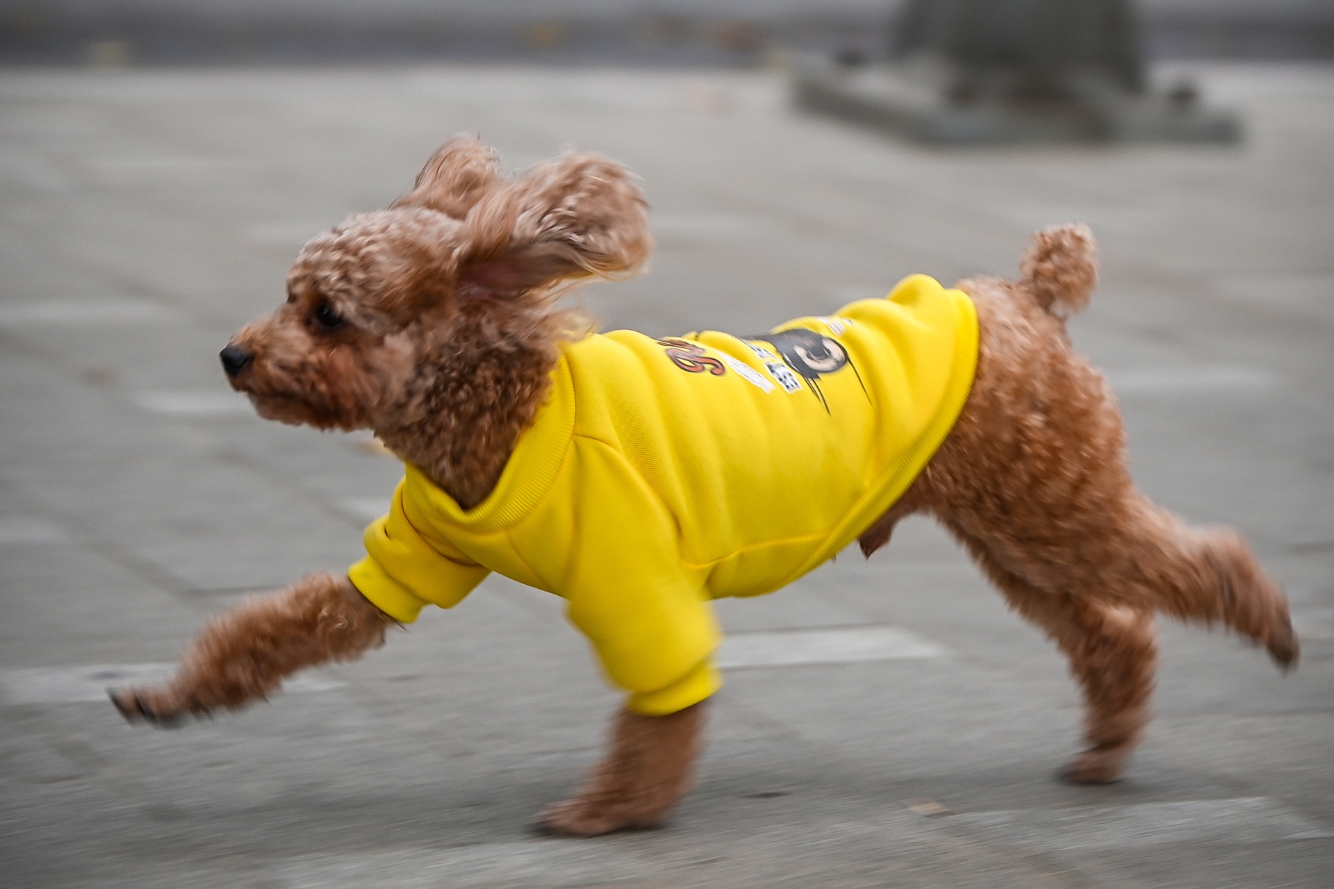 Nguoi dan Thu do dot lua suoi am anh 8