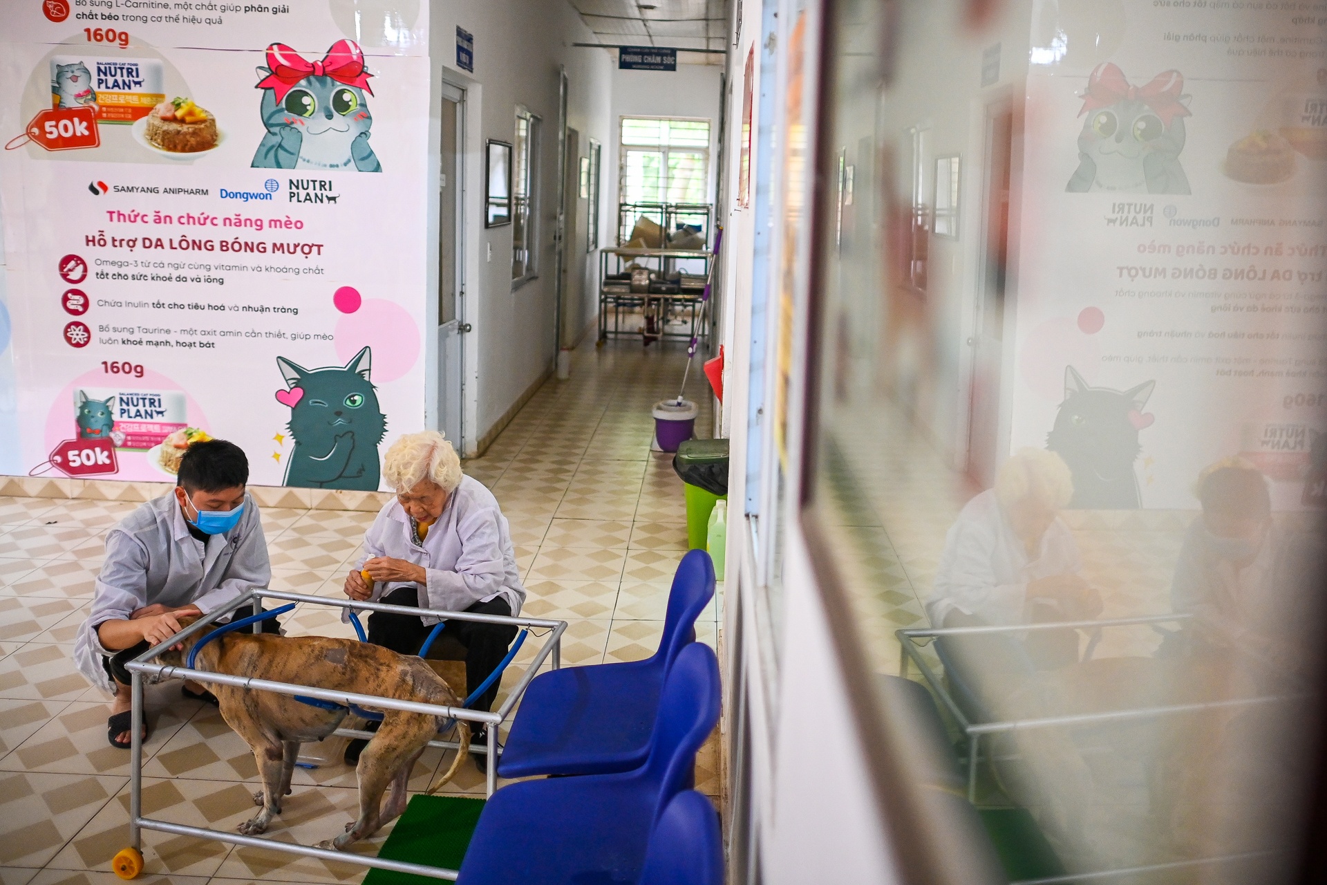 Phòng châm cứu thú y miễn phí ở Hà Nội ảnh 4 Phong cham cuu thu y mien phi o Ha Noi anh 4