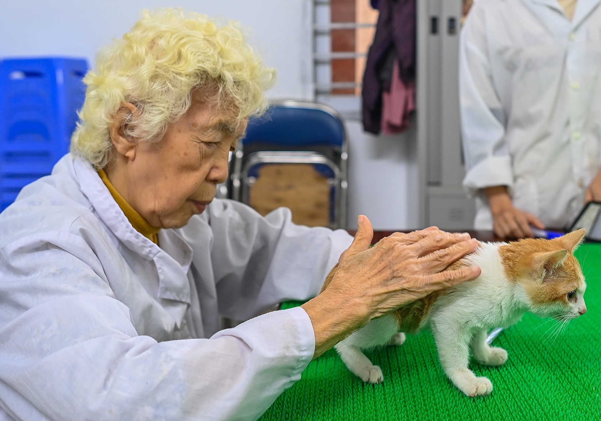 Phong kham cho, meo mien phi cua cu ba 90 tuoi hinh anh