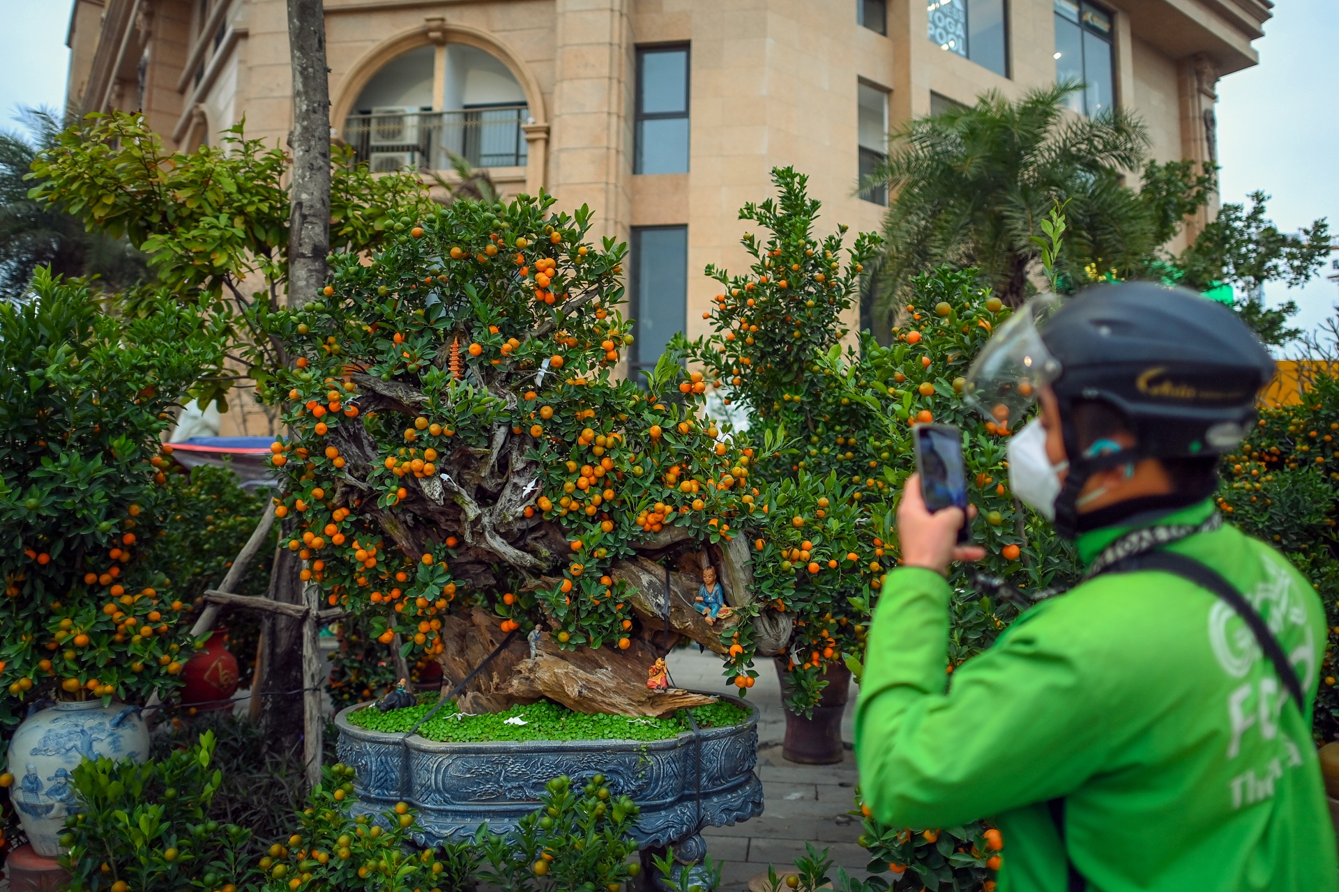 Buoi Dien,  dao rung thu hut khach dip Tet anh 12