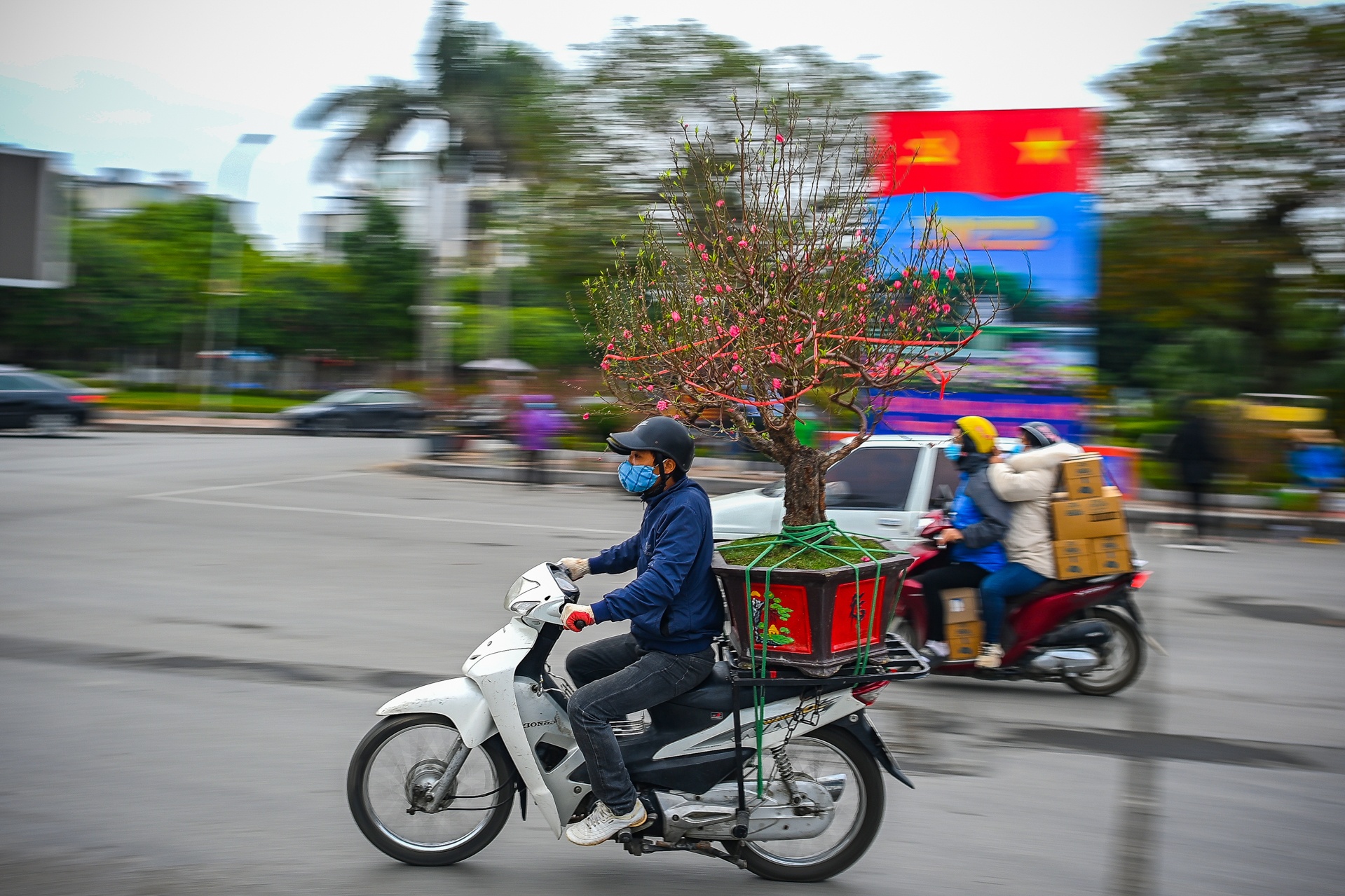 Buoi Dien,  dao rung thu hut khach dip Tet anh 8