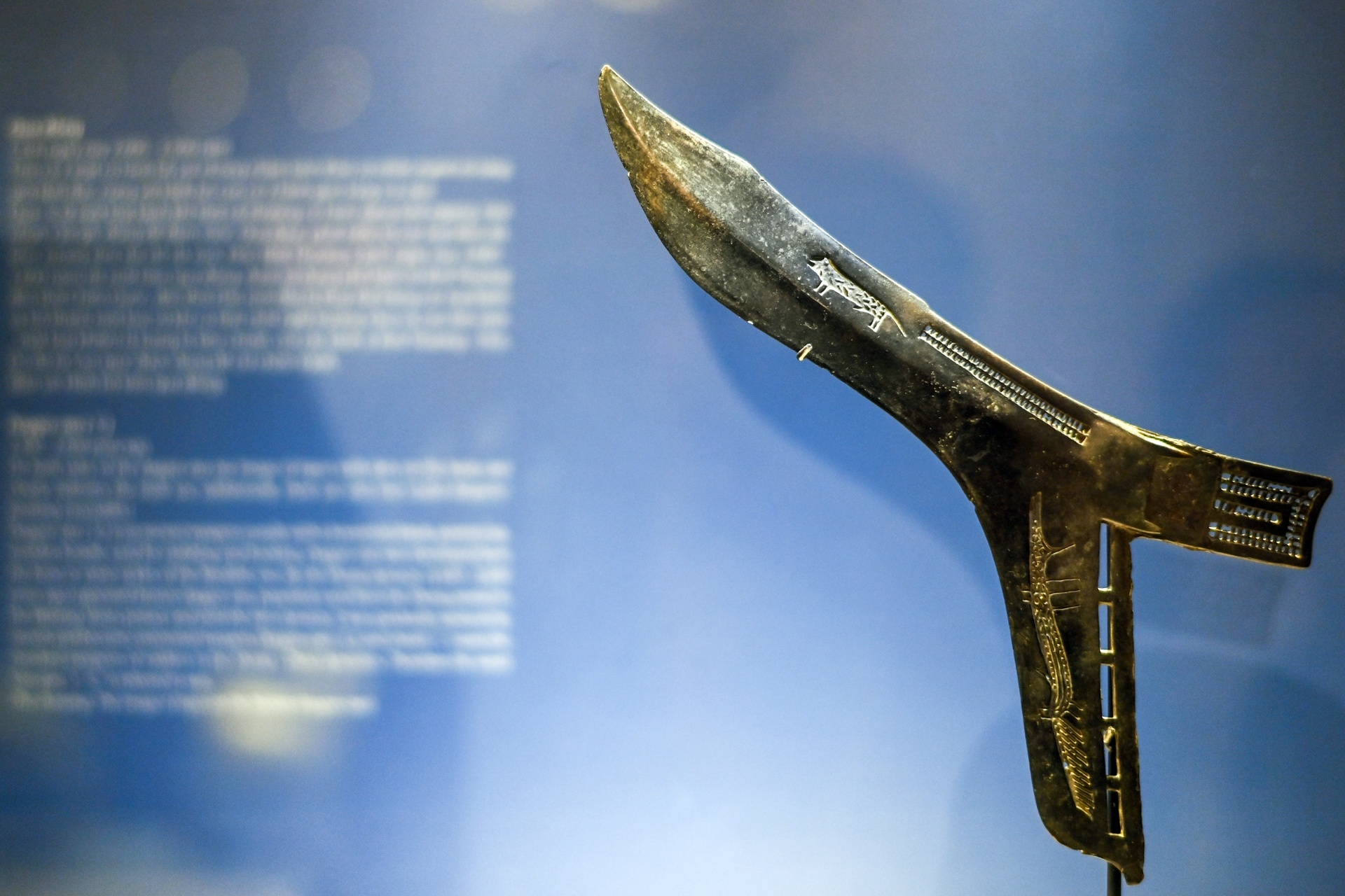 Trien lam Ho trong my thuat co anh 9