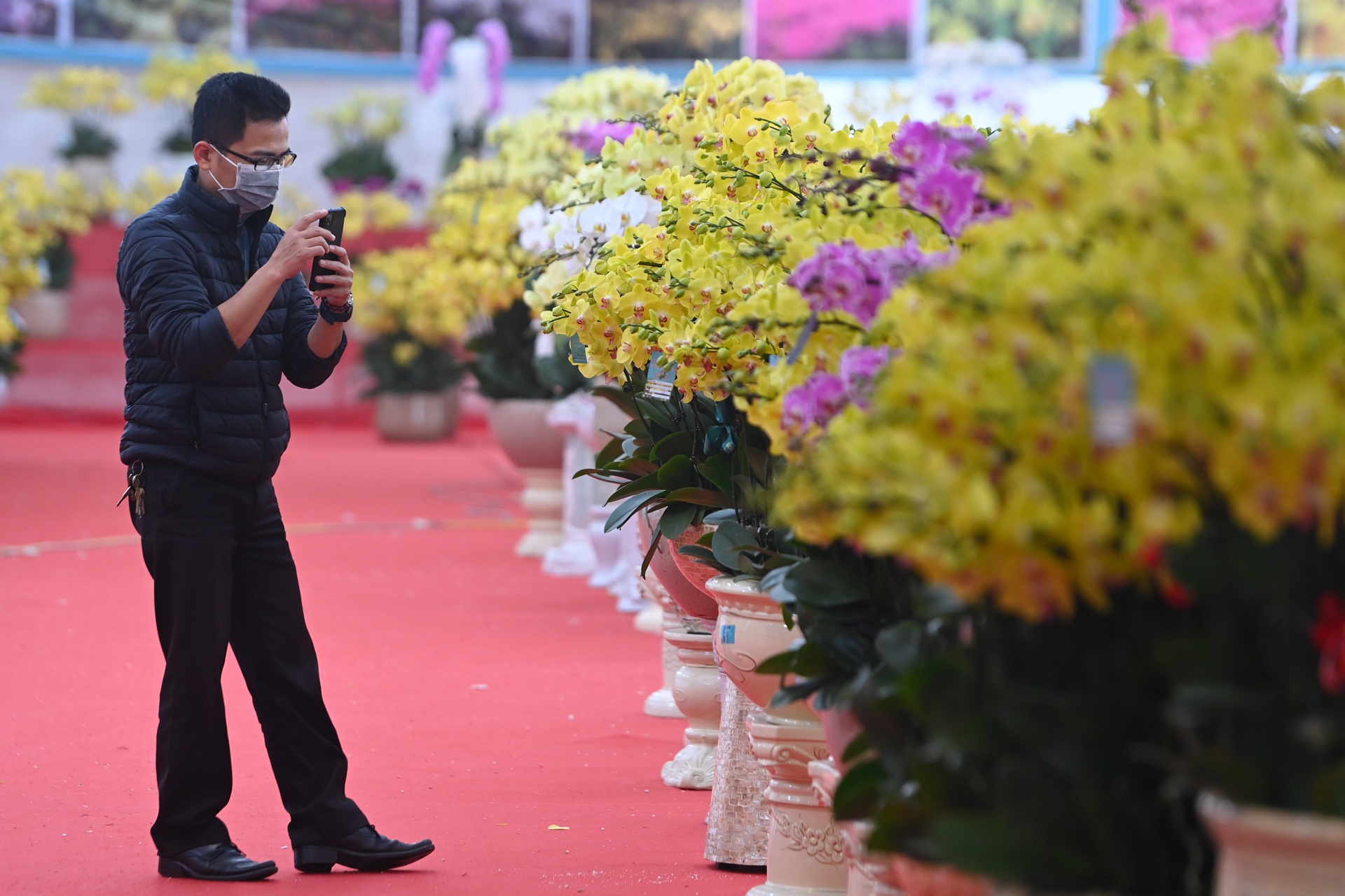 Lan ho diep gia gan 1 ty dong anh 8