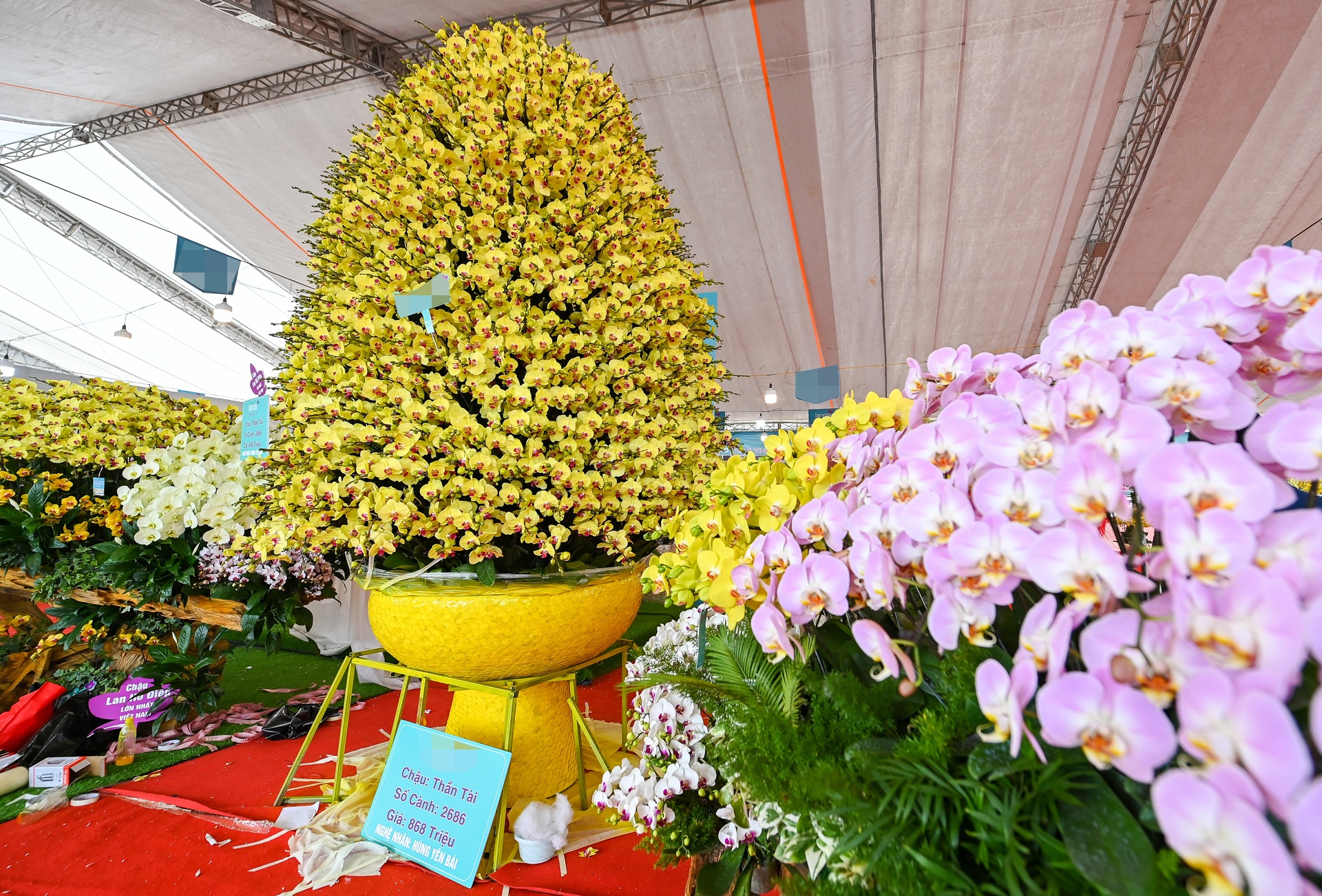 Lan ho diep gia gan 1 ty dong anh 1