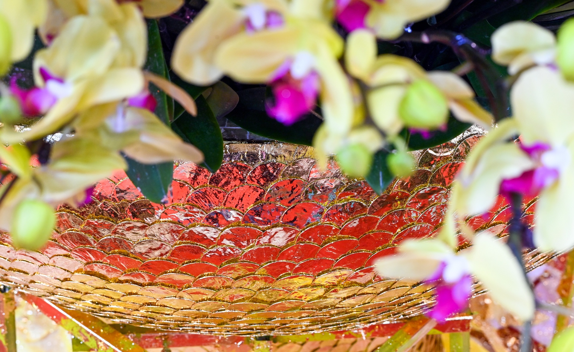 Lan ho diep gia gan 1 ty dong anh 5