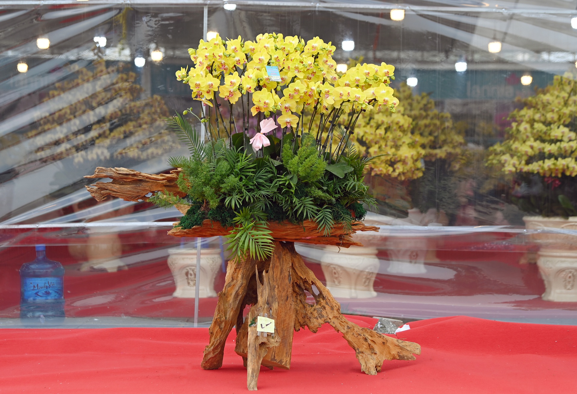 Lan ho diep gia gan 1 ty dong anh 7