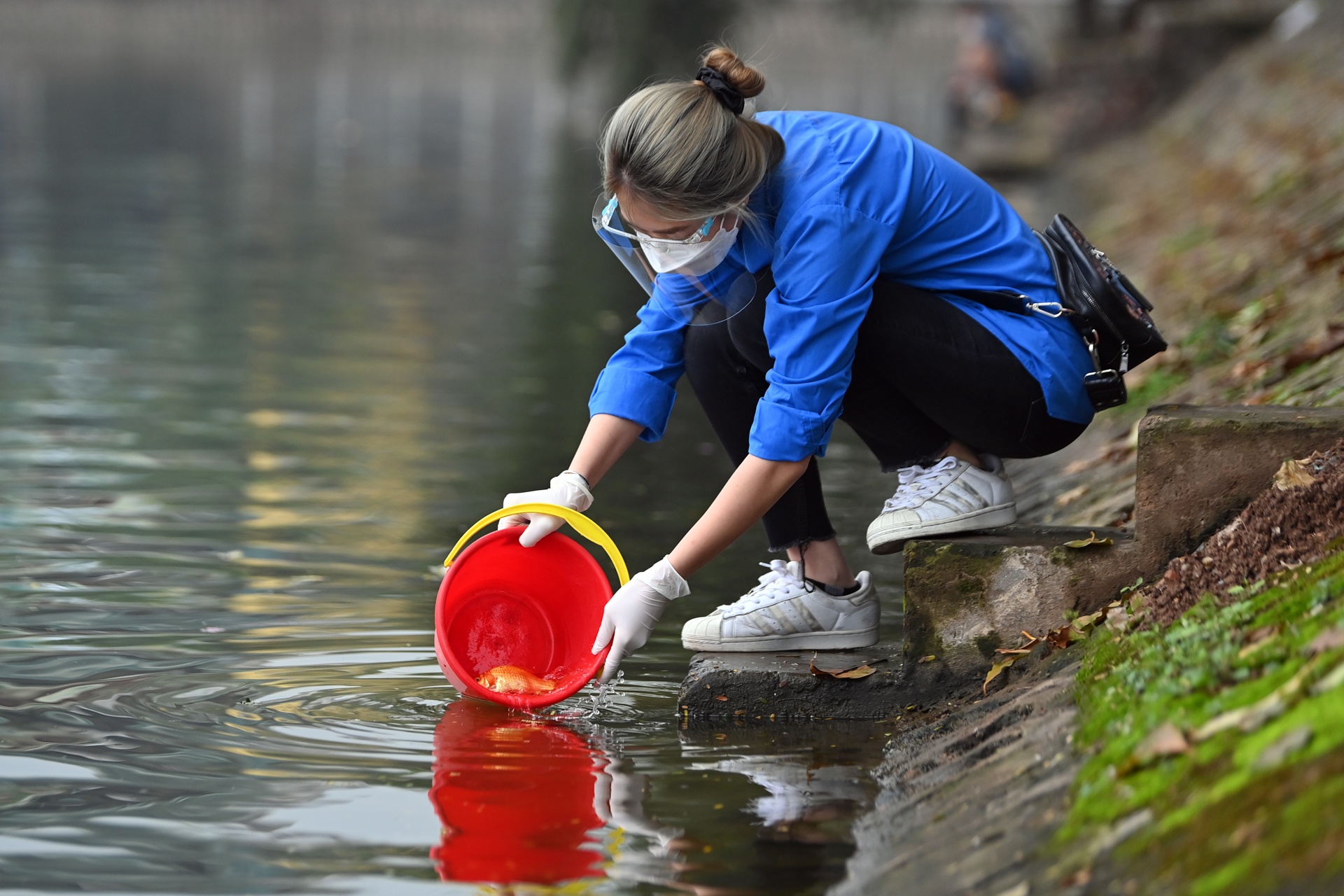 Tha ca chep tien tao quan anh 15