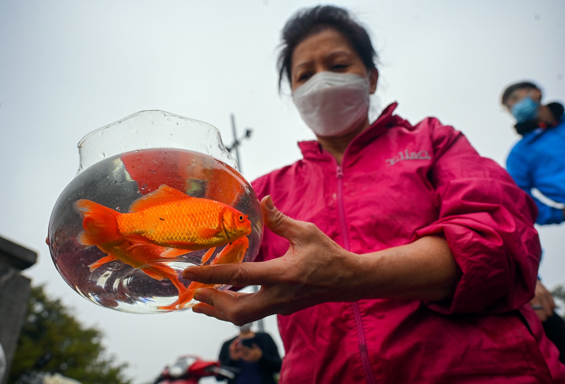 Tha ca chep tien tao quan anh 6