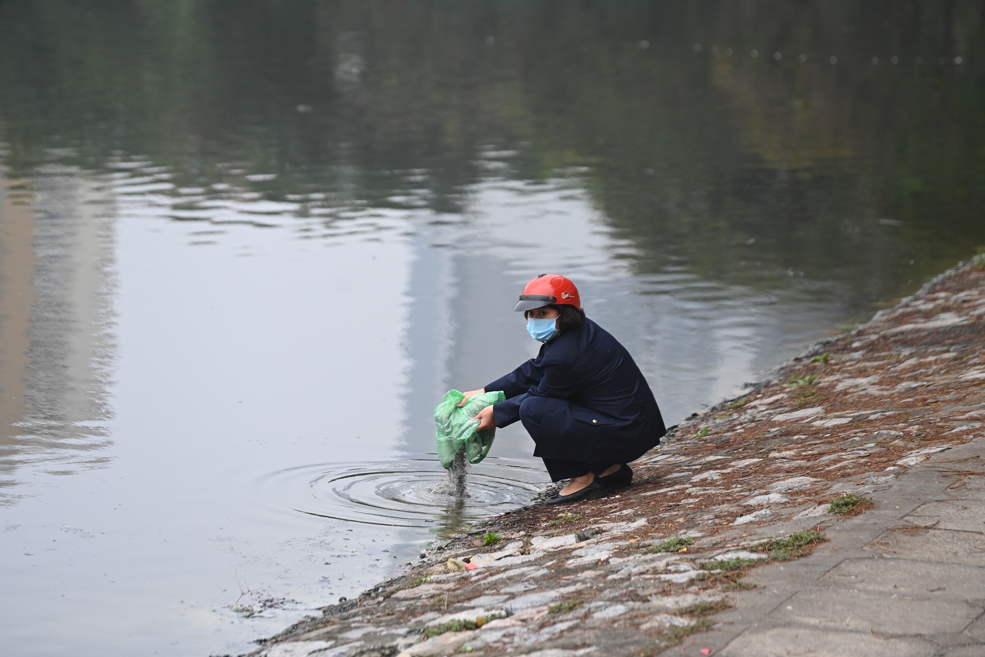 Tha ca chep tien tao quan anh 10