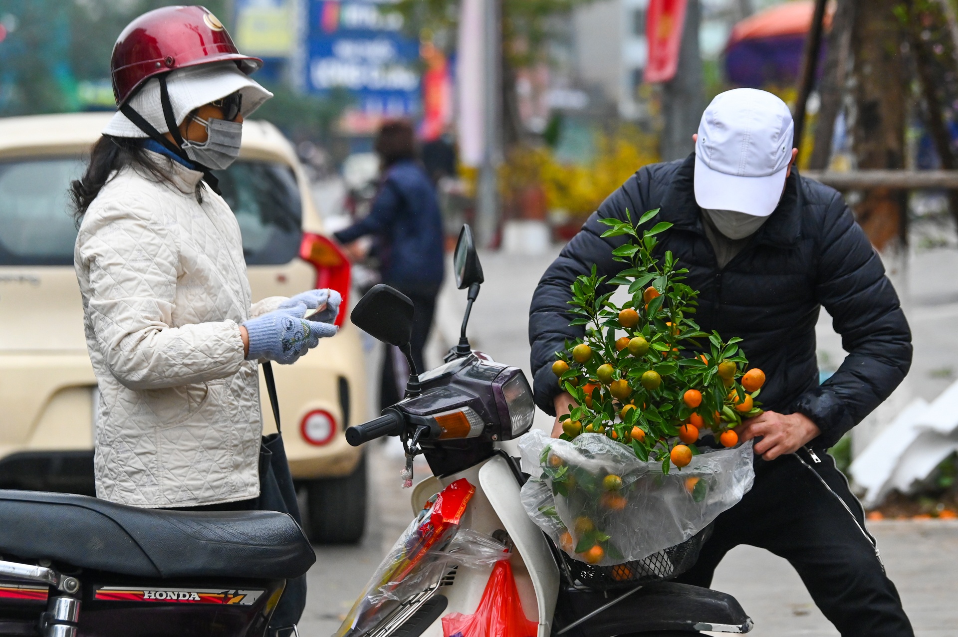 Dao quat dai ha gia van e khach anh 10