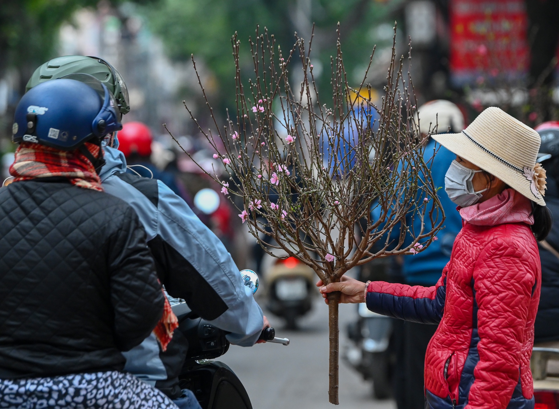 Dao quat dai ha gia van e khach anh 11