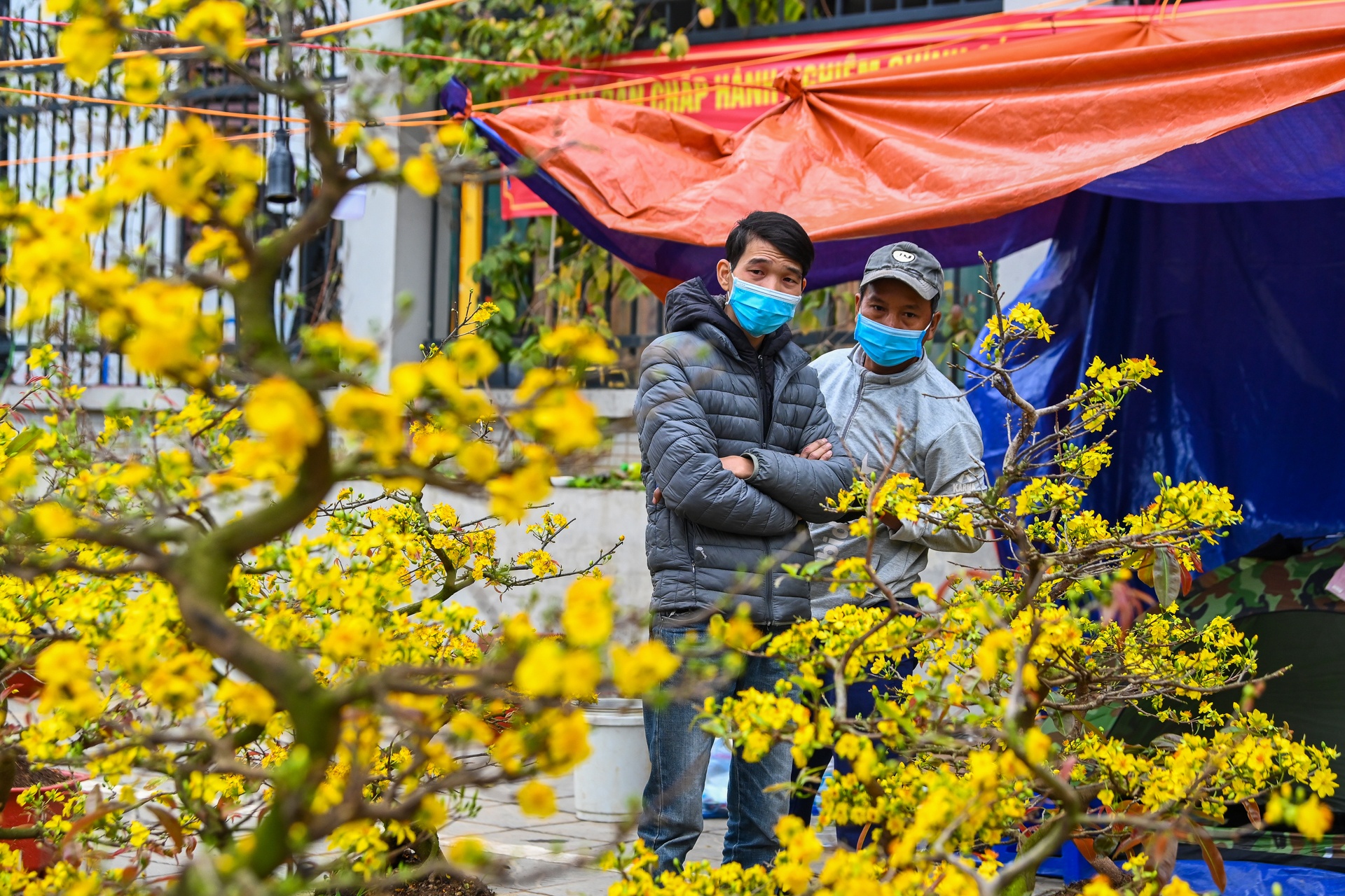 Dao quat dai ha gia van e khach anh 12