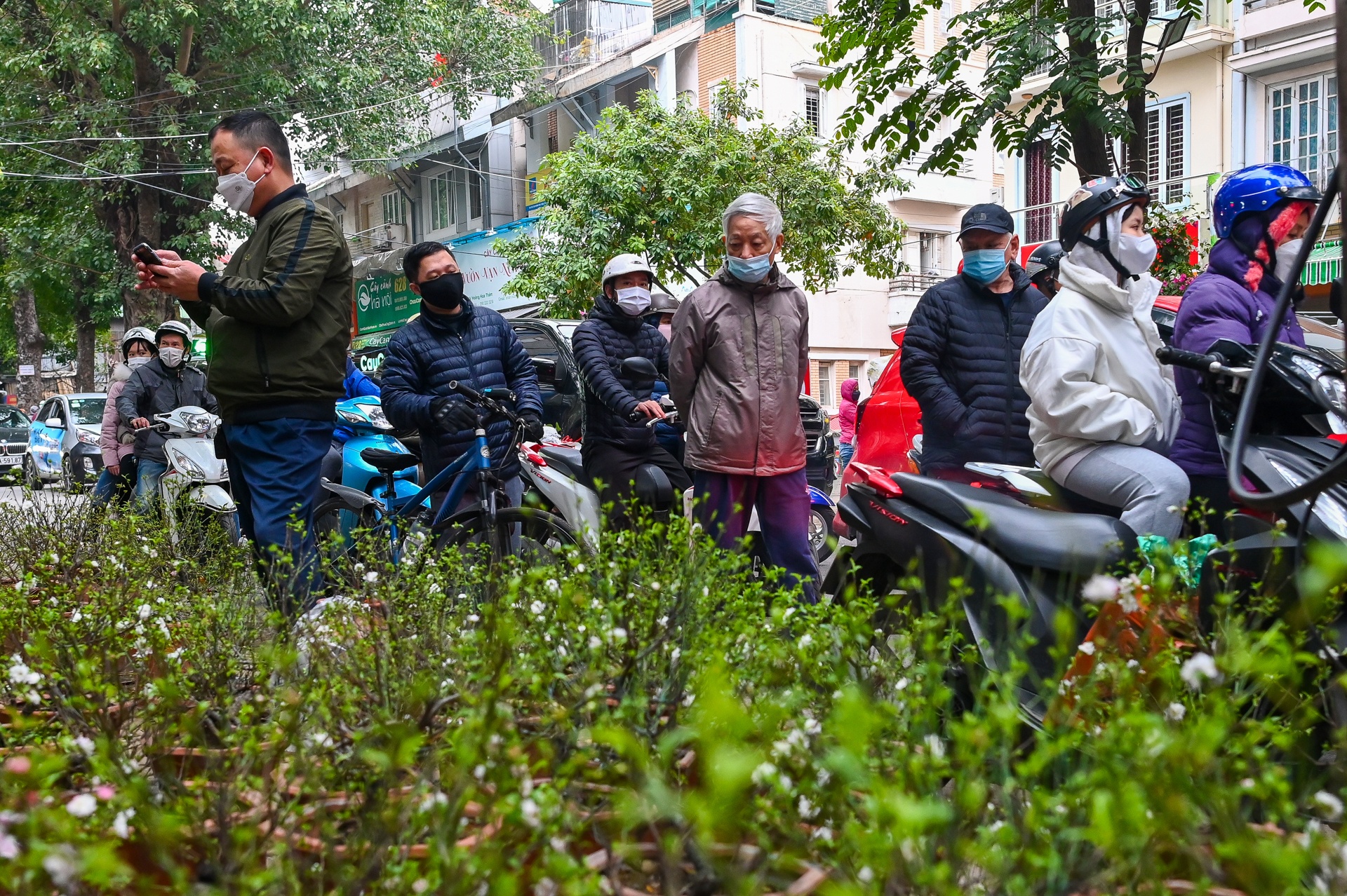 Dao quat dai ha gia van e khach anh 1