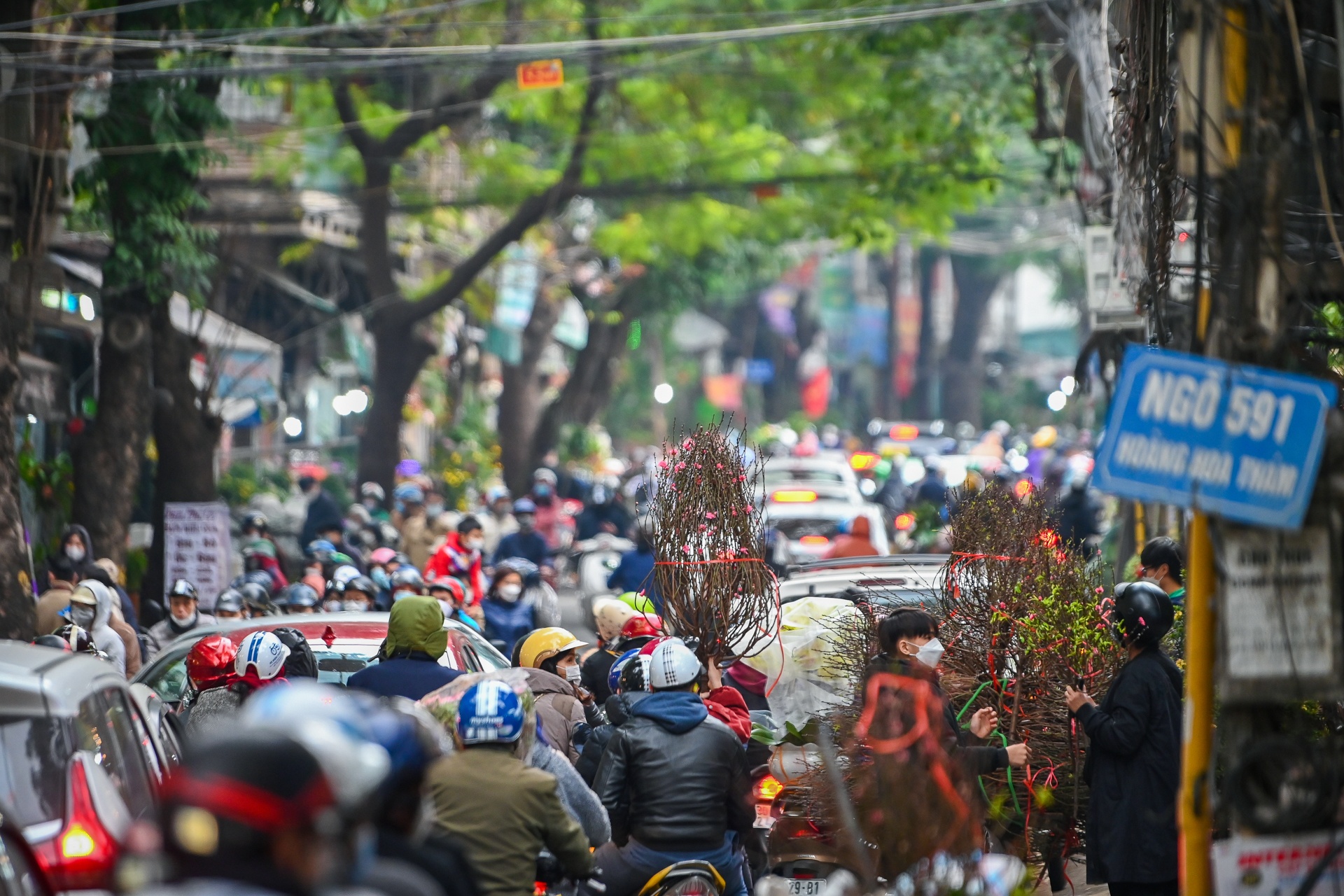 Dao quat dai ha gia van e khach anh 2