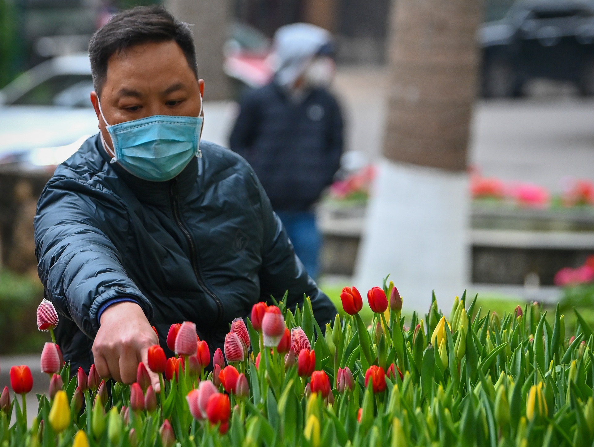 Dao quat dai ha gia van e khach anh 3